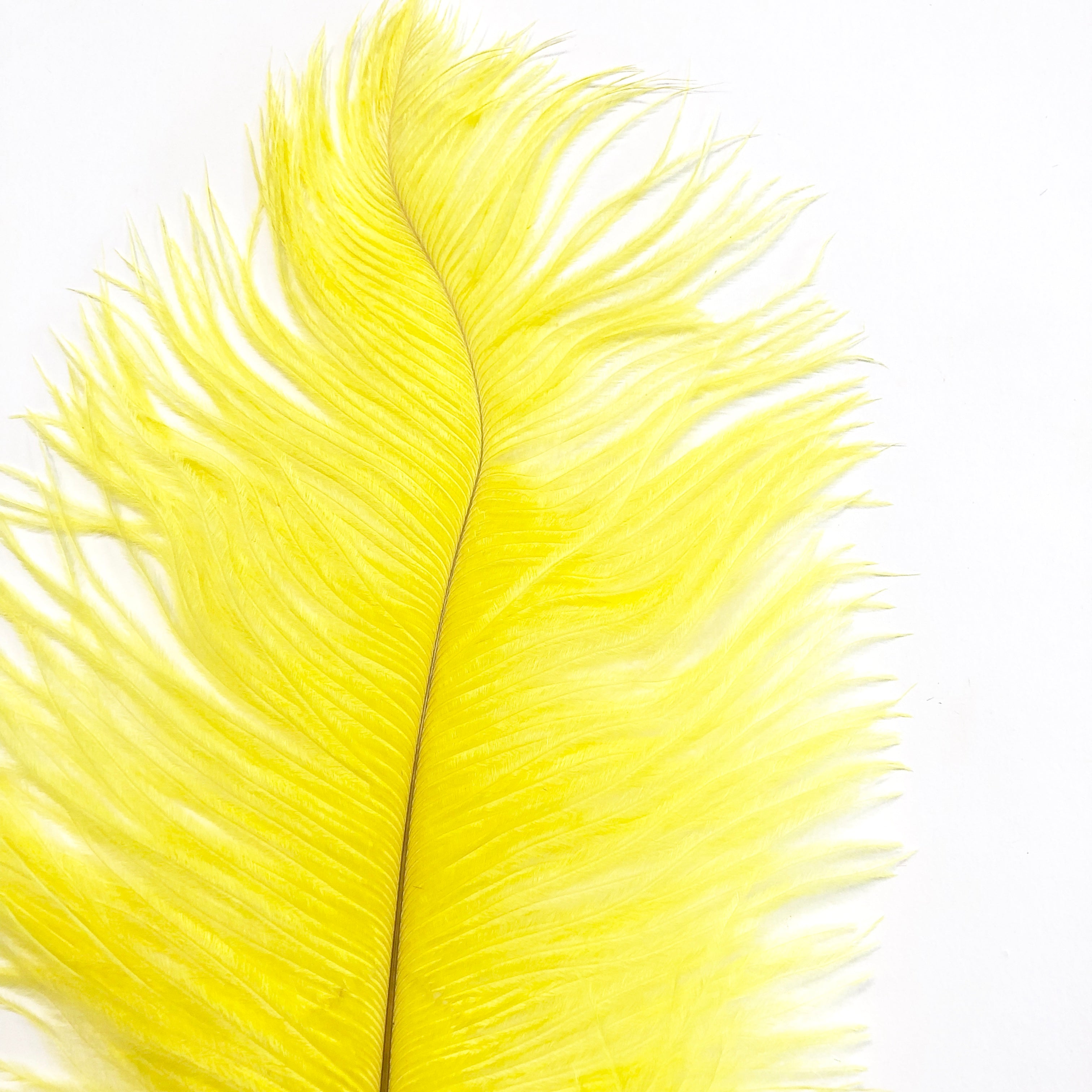Ostrich Feather Drab 37-42cm - Yellow