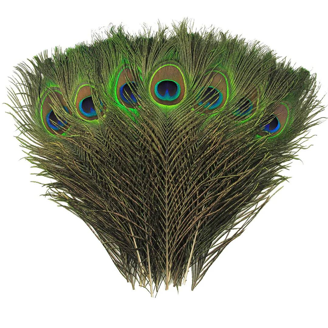 Iridescent peacock eye feather; premium natural feathers in Australia for statement millinery and luxury home décor.