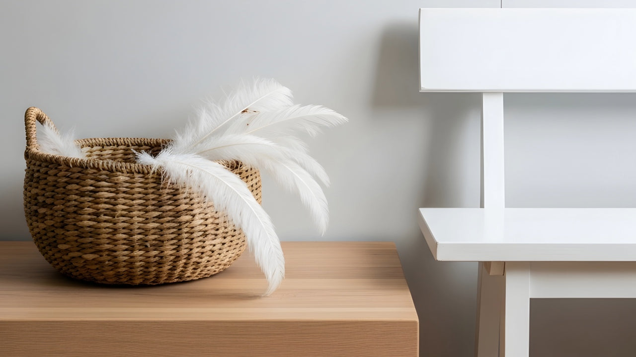 Gorgeous, simple arrangement of feathers for home decor