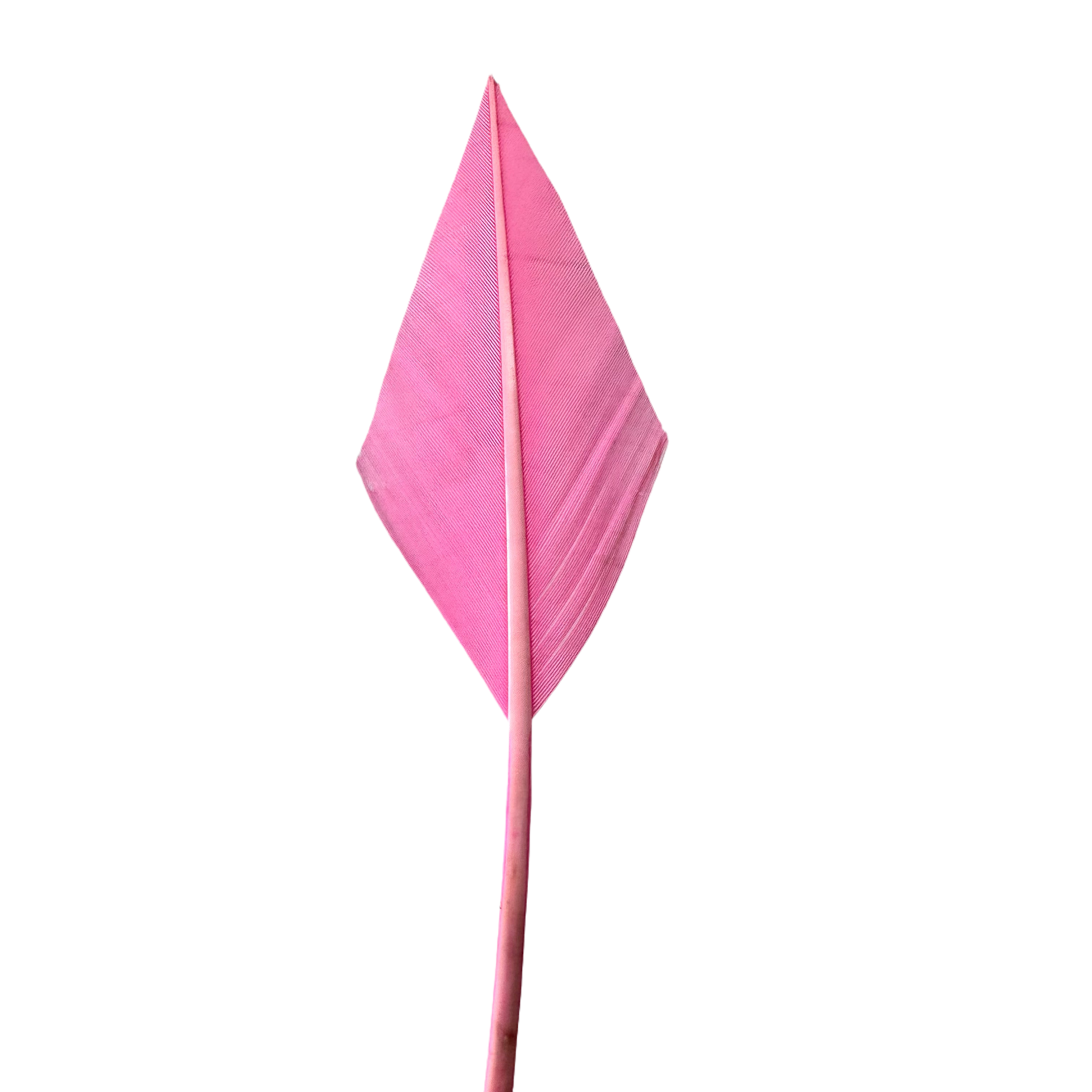 Turkey Wing ARROWHEAD Feather x 5 pcs - Hot Pink