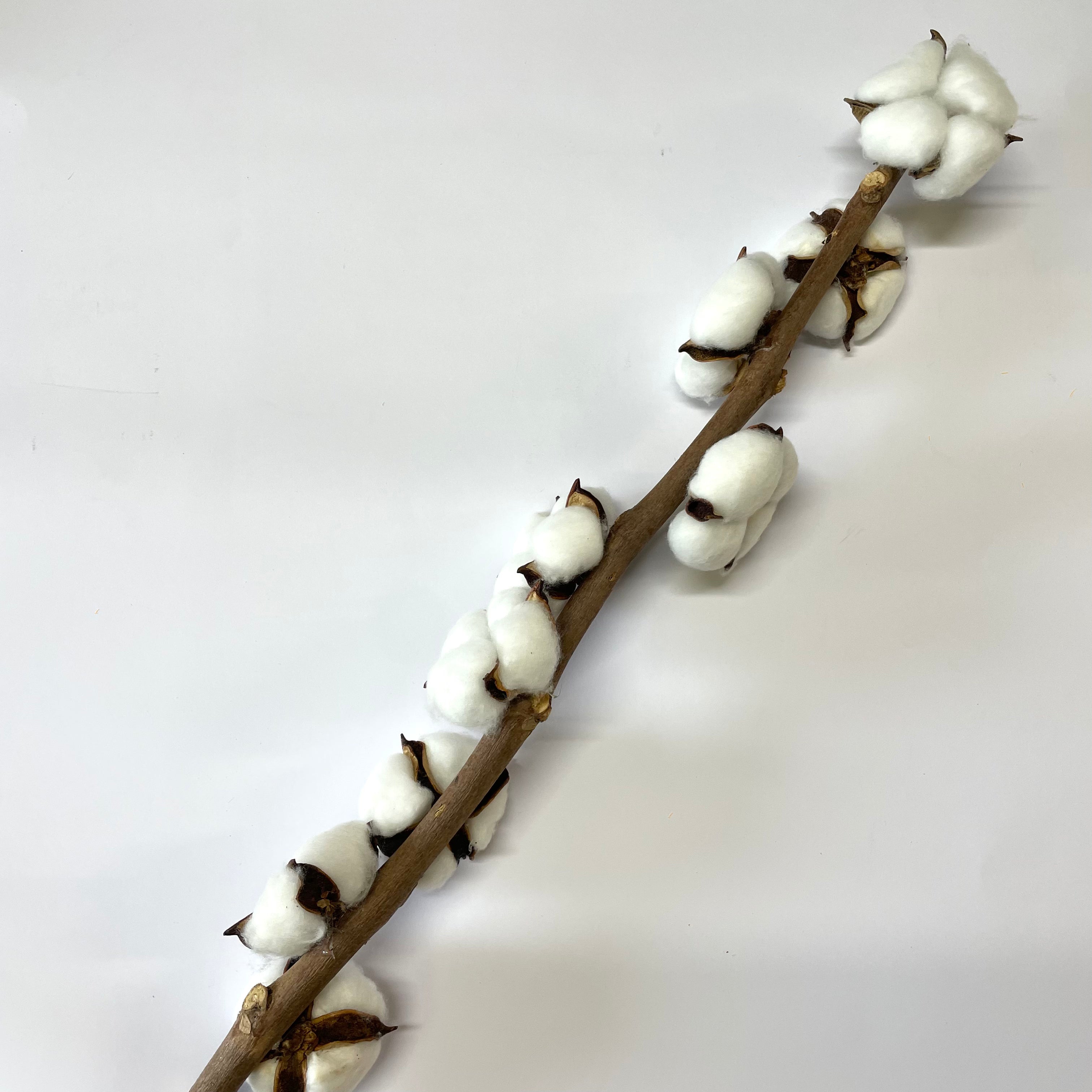 Artificial Natural Dried Cotton 9 Heads Stem - White