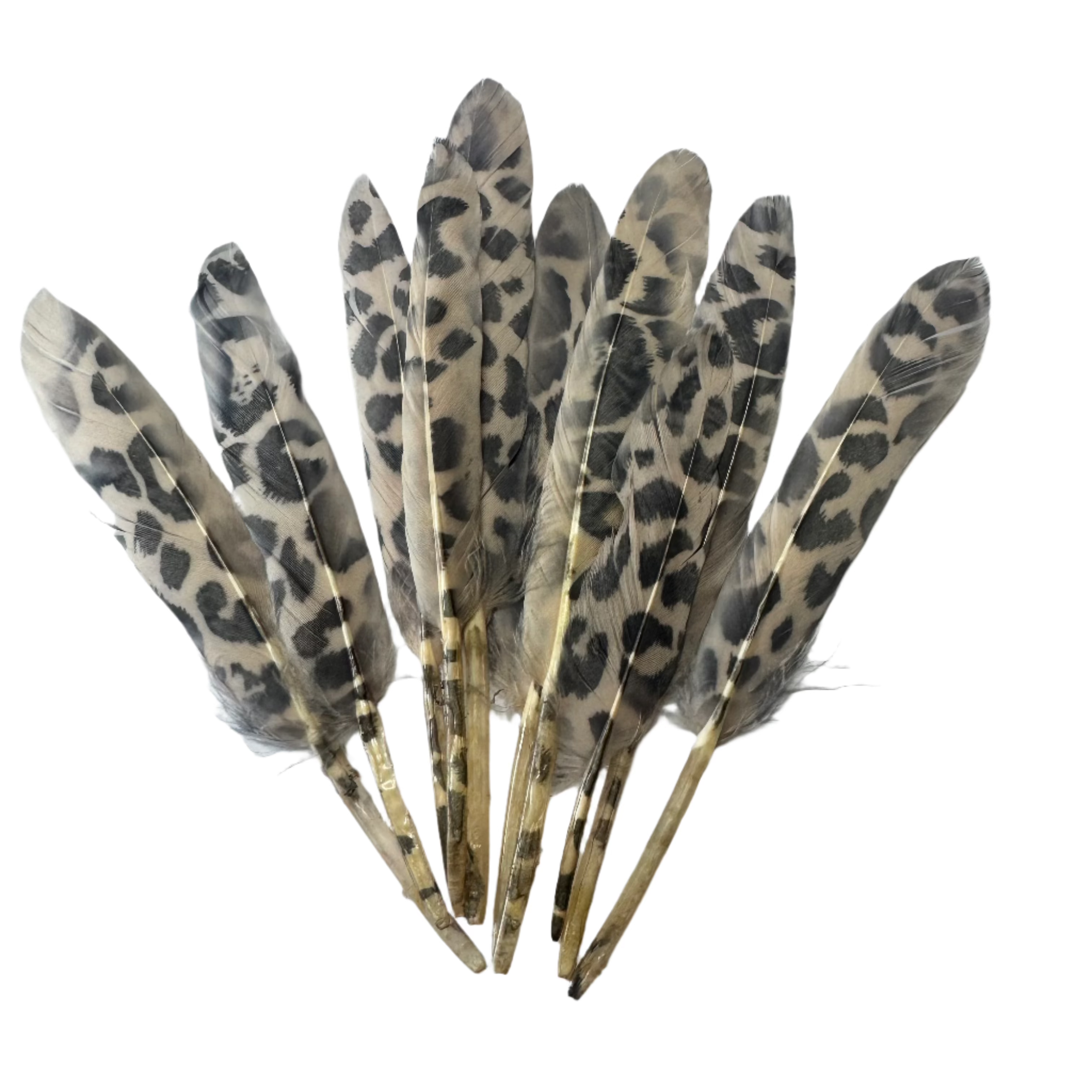 Tiny Goose Pointer Printed Feather Art Craft - Leopard Style 4 x 10 pcs