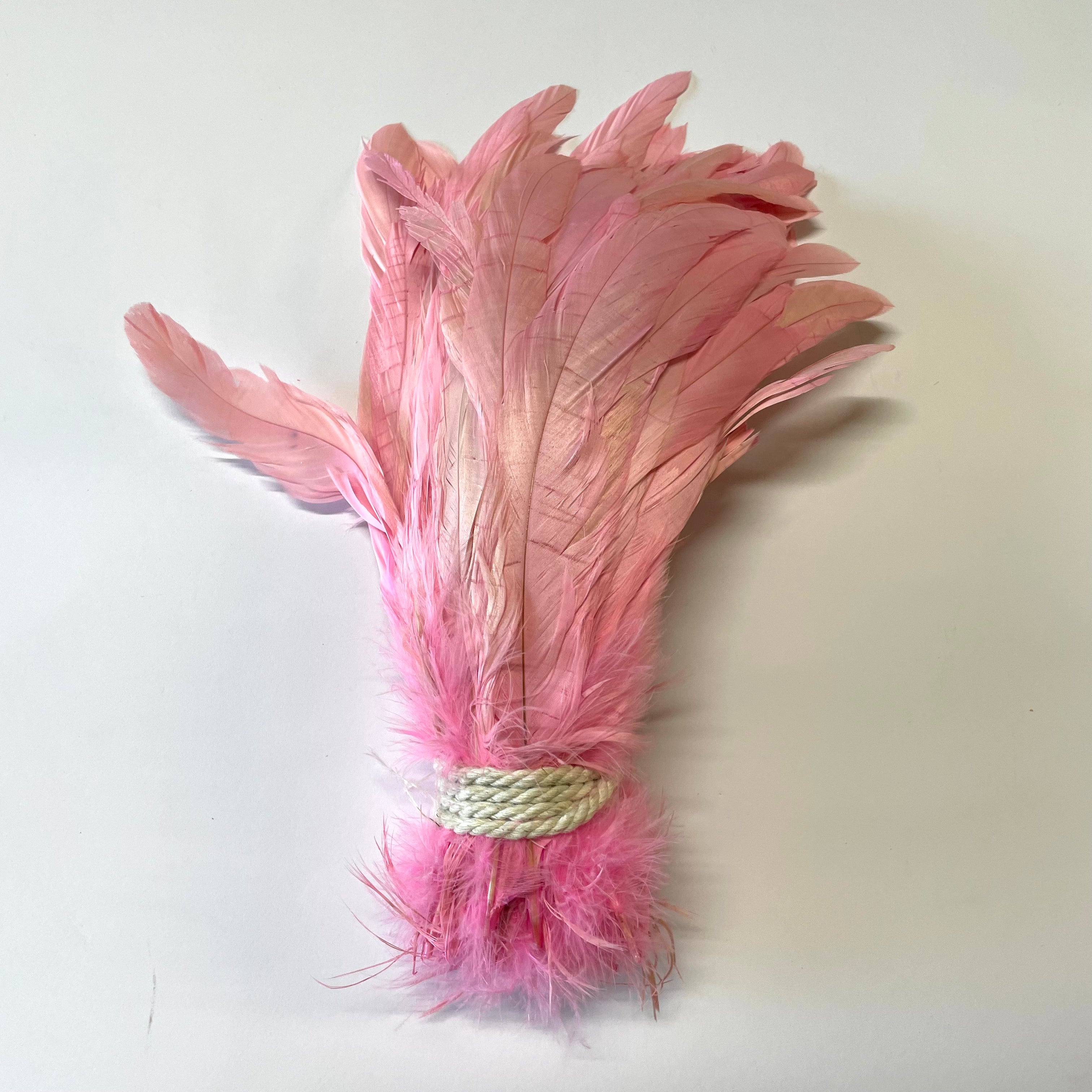 Coque Tail Feathers 8-10" 240mm - 10 grams - Pink