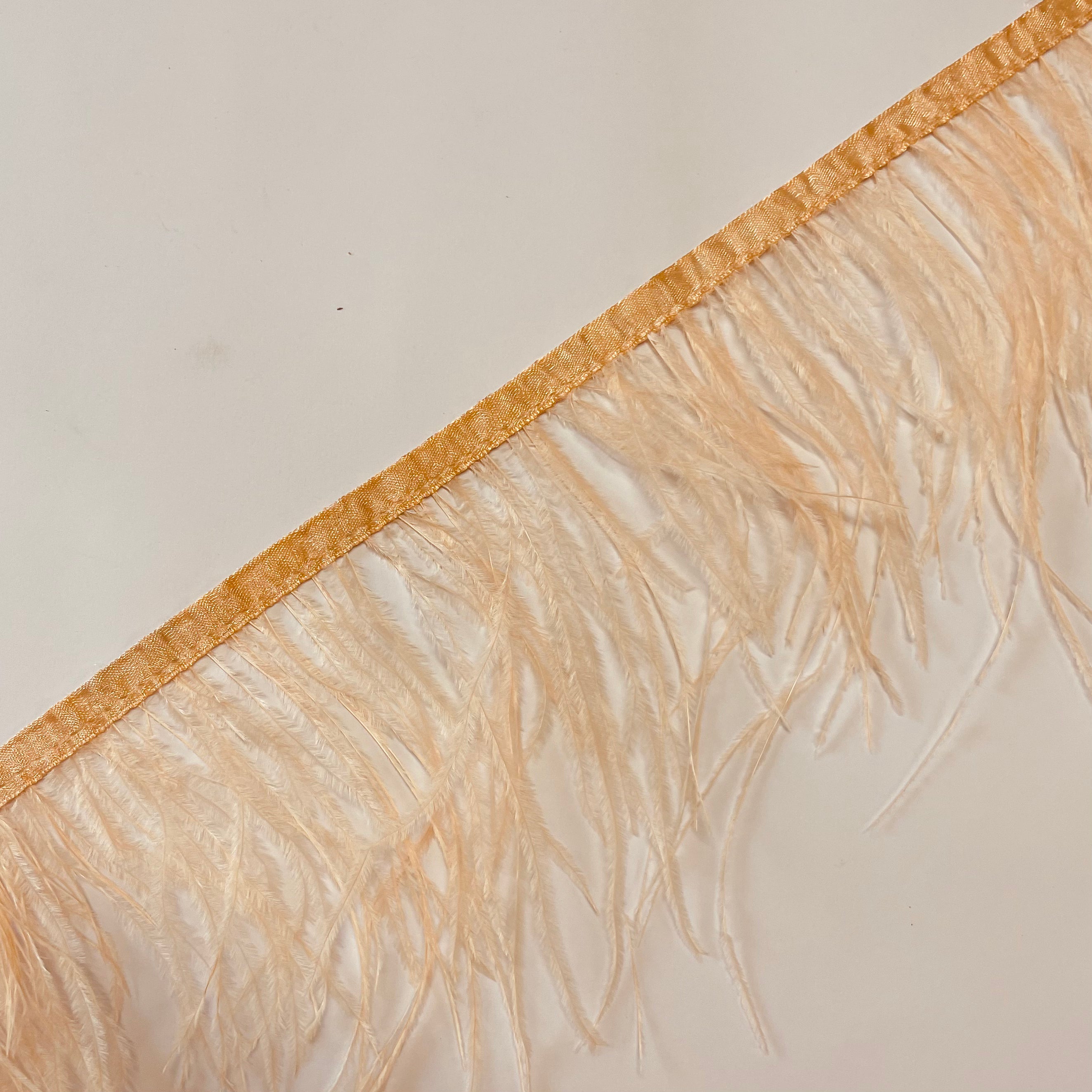 Ostrich Feathers Strung per metre - Apricot – Feather.com.au