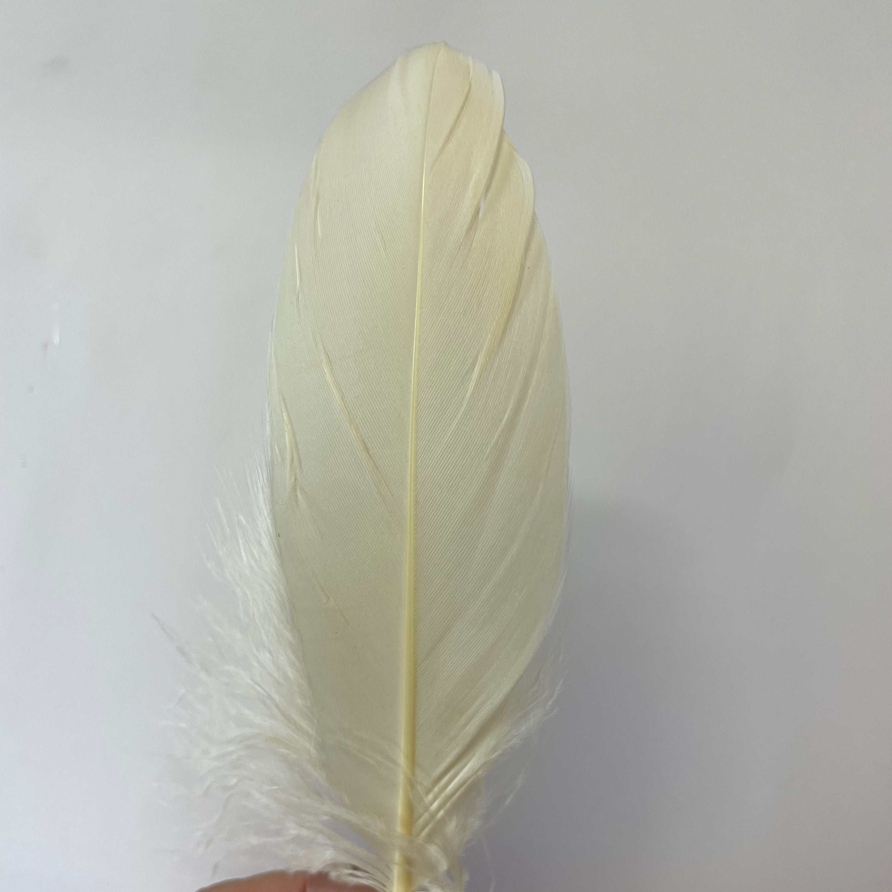 Goose Nagoire Feathers 10 grams - Dark Ivory