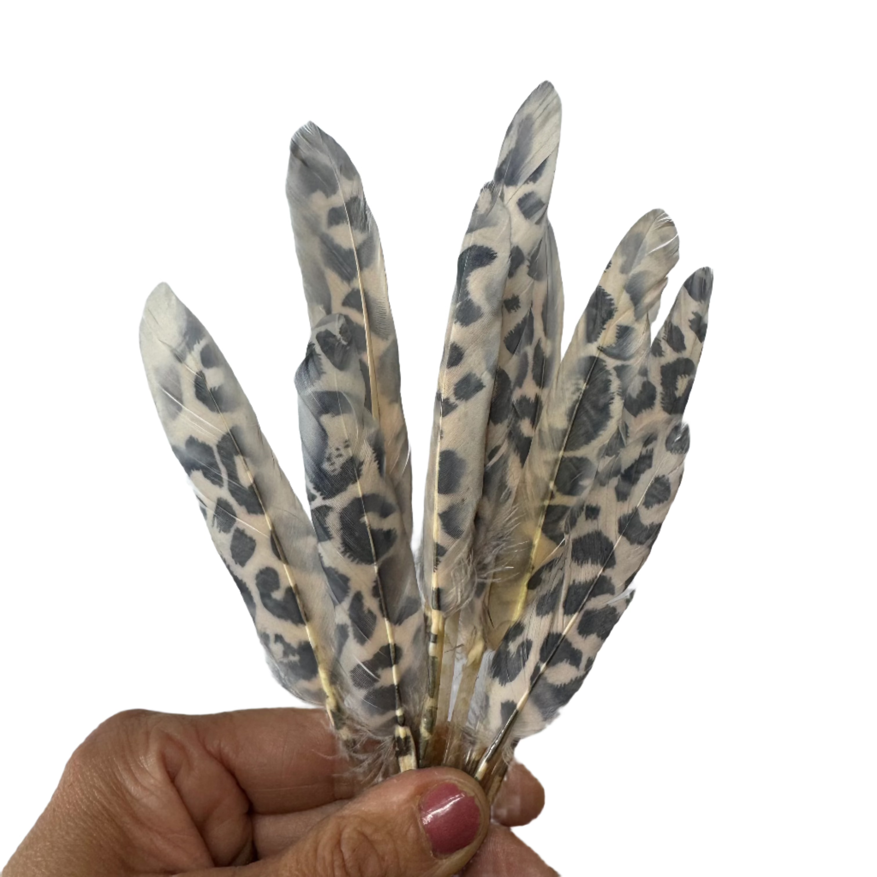 Tiny Goose Pointer Printed Feather Art Craft - Leopard Style 4 x 10 pcs