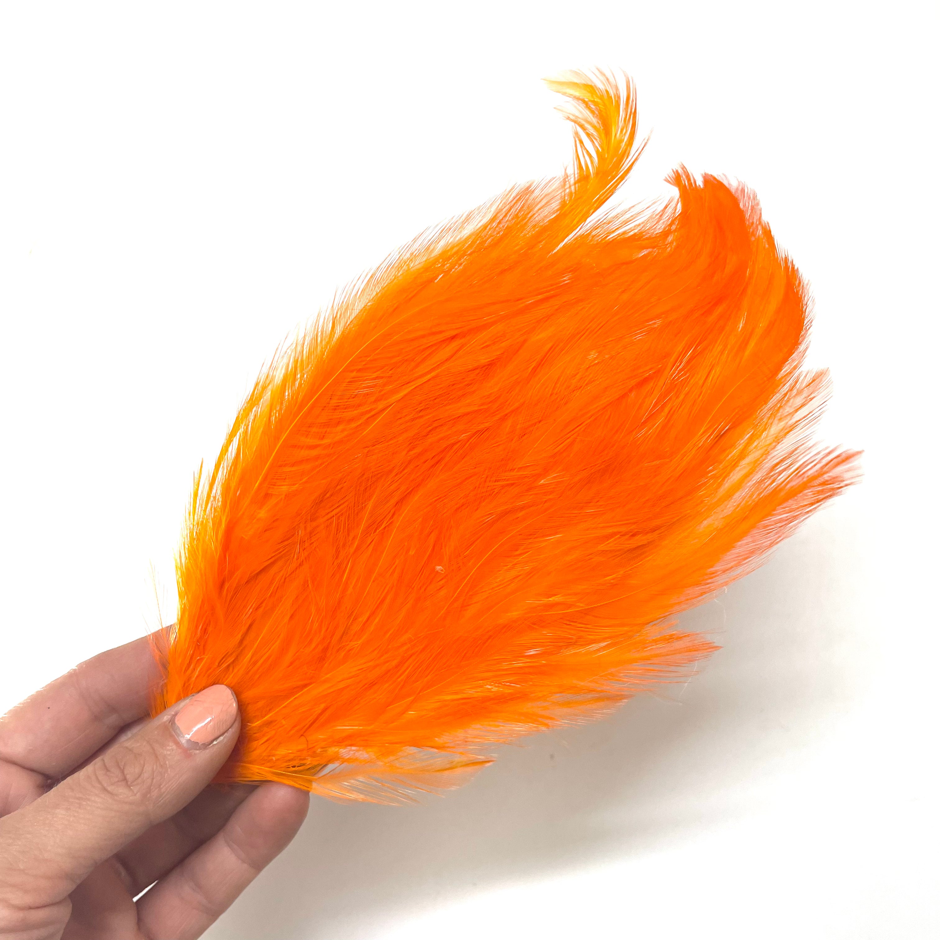 Coque Hackle Feather Pad - Orange