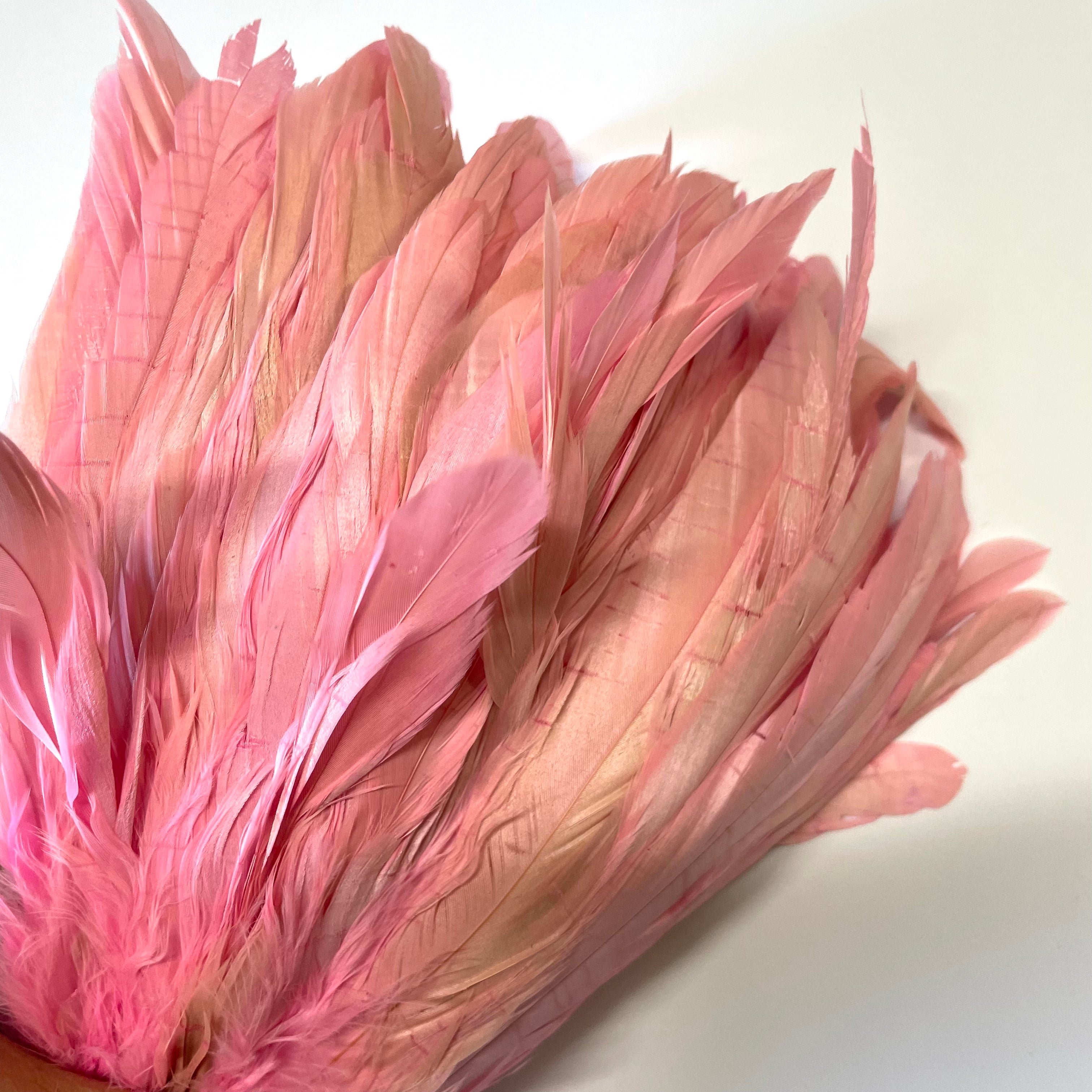 Coque Tail Feathers 8-10" 240mm - 10 grams - Pink