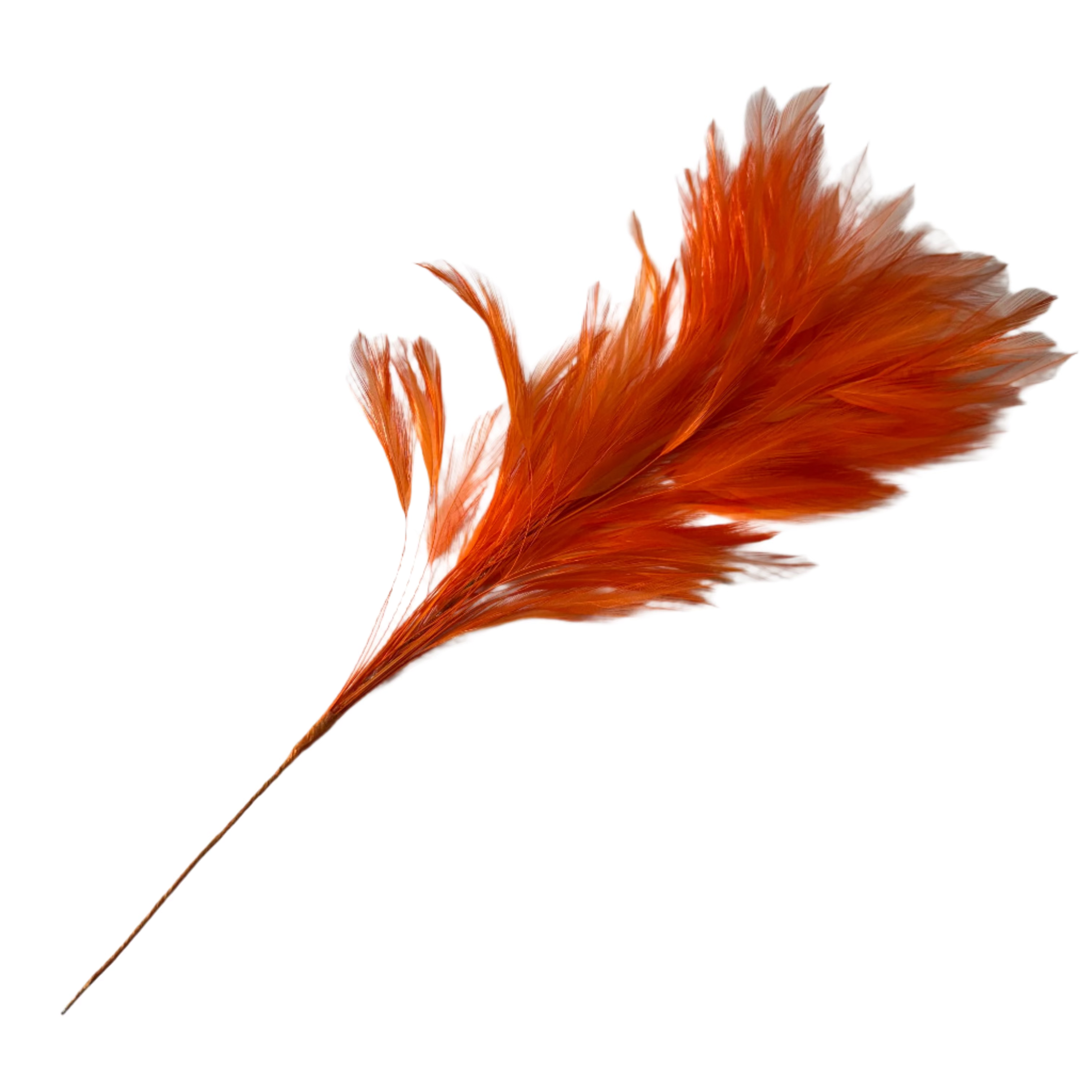 Orange Coque Hackle Feather Tree