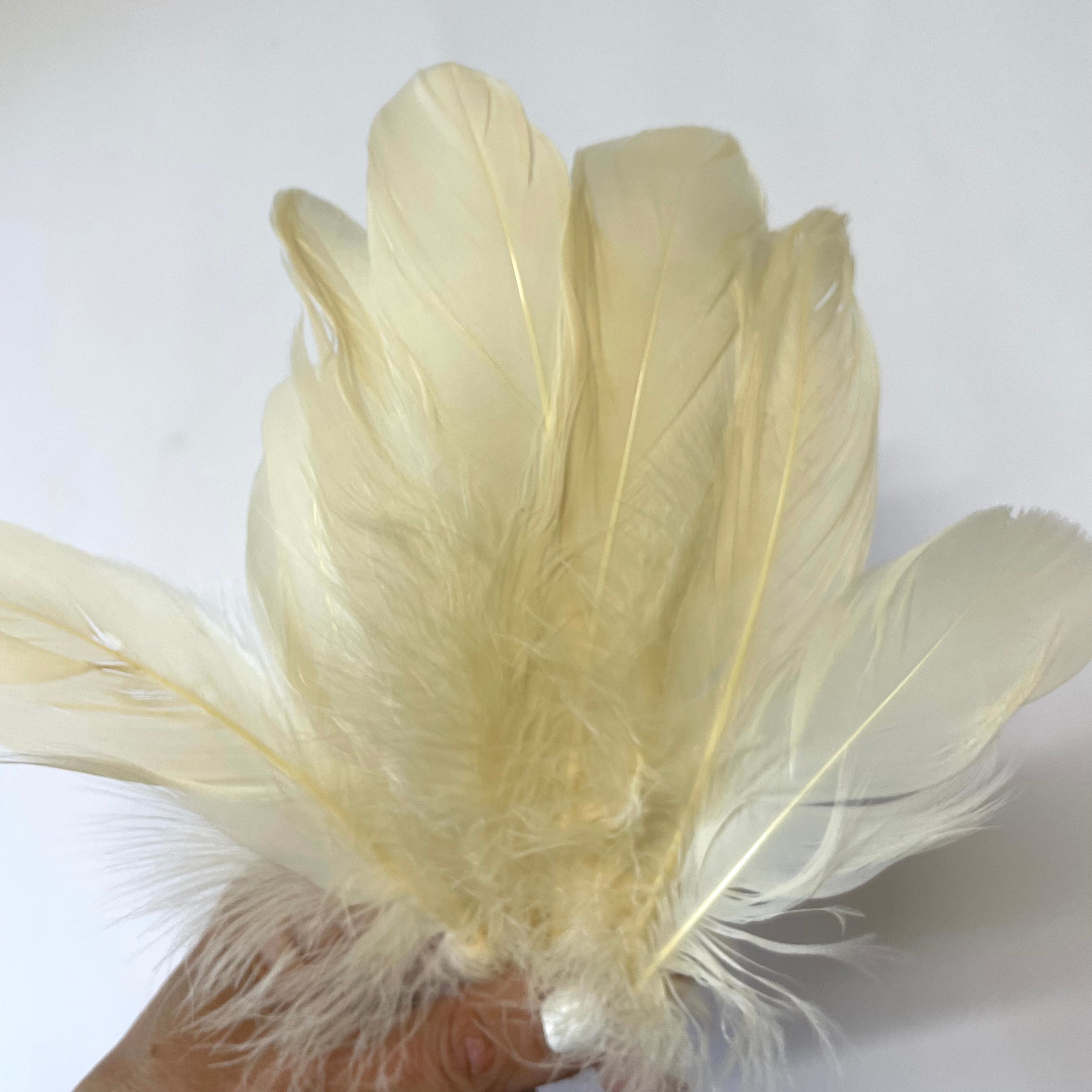 Goose Nagoire Feathers 10 grams - Dark Ivory