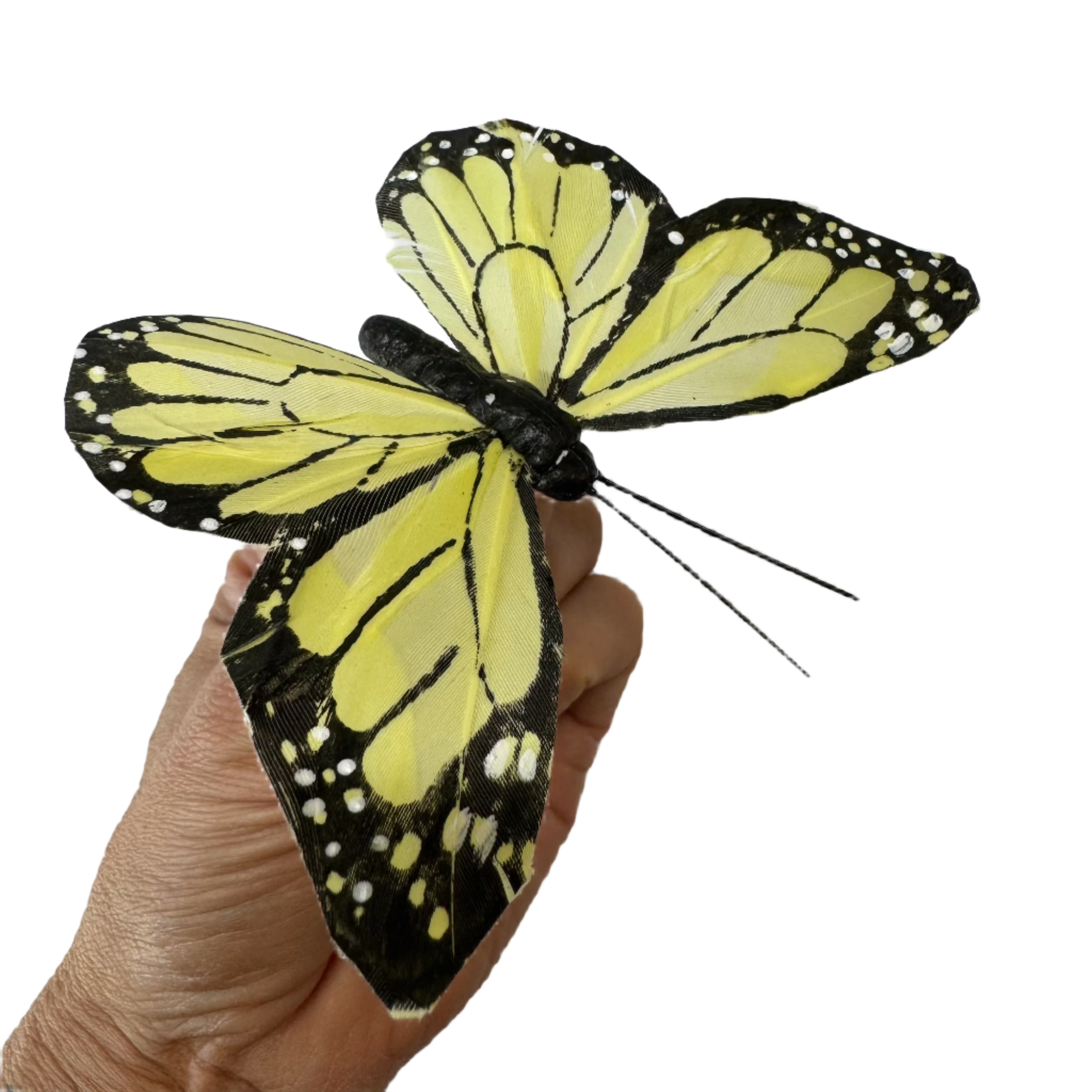 Feather Butterflies x 5 Pack - Large Yellow Monarch
