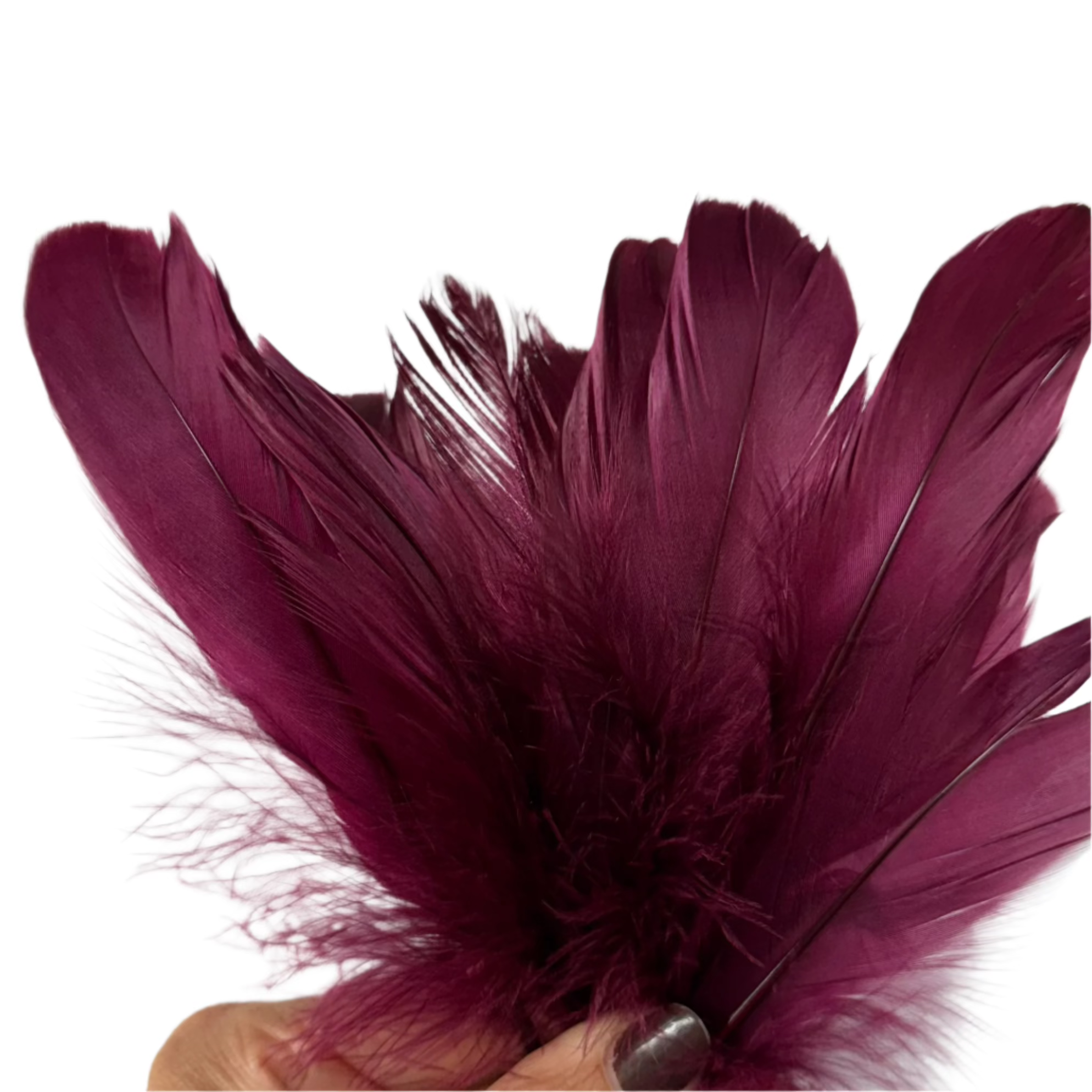 Goose Nagoire Feathers 10 grams - Plum