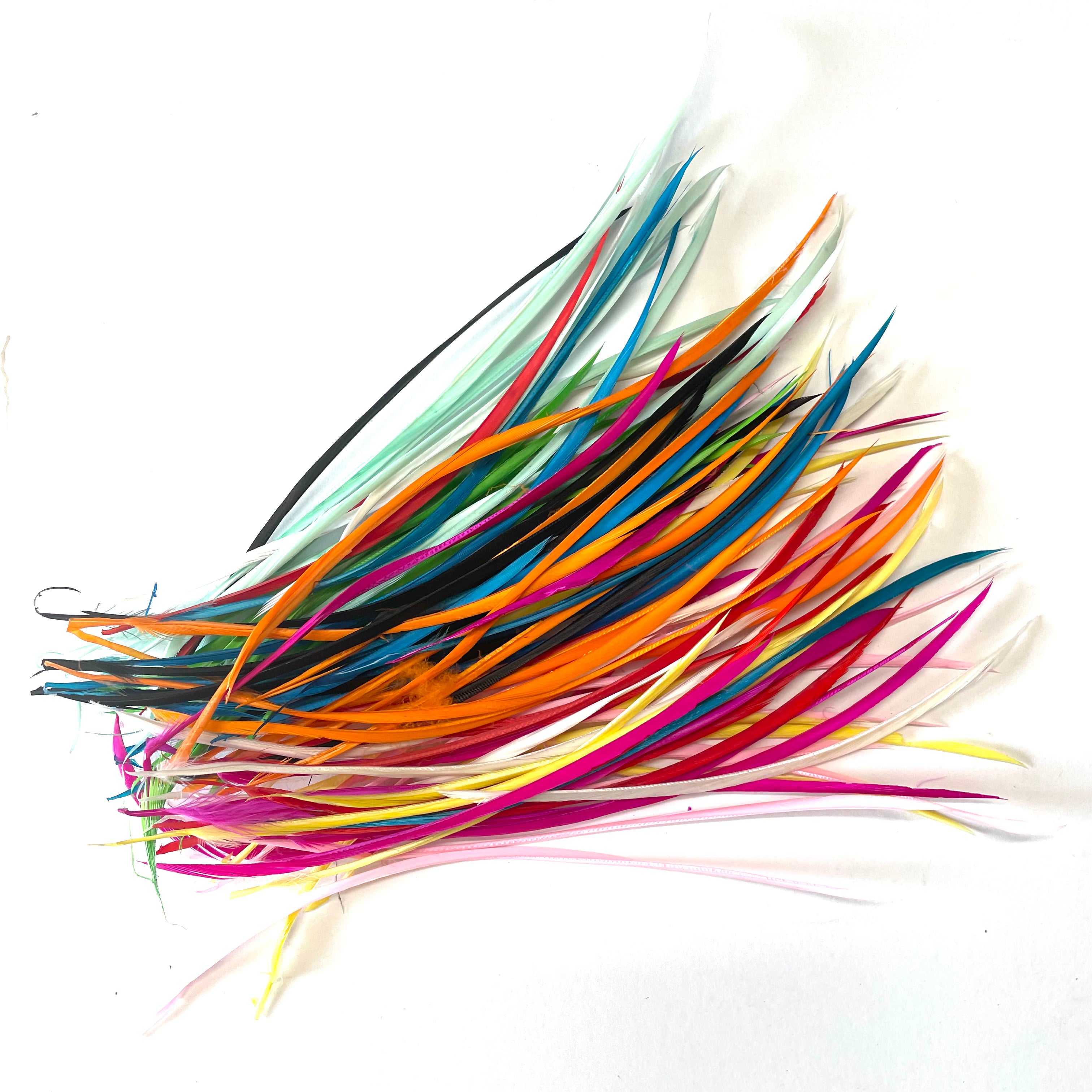 Rainbow Goose Biots Feather Pack x 100 pcs