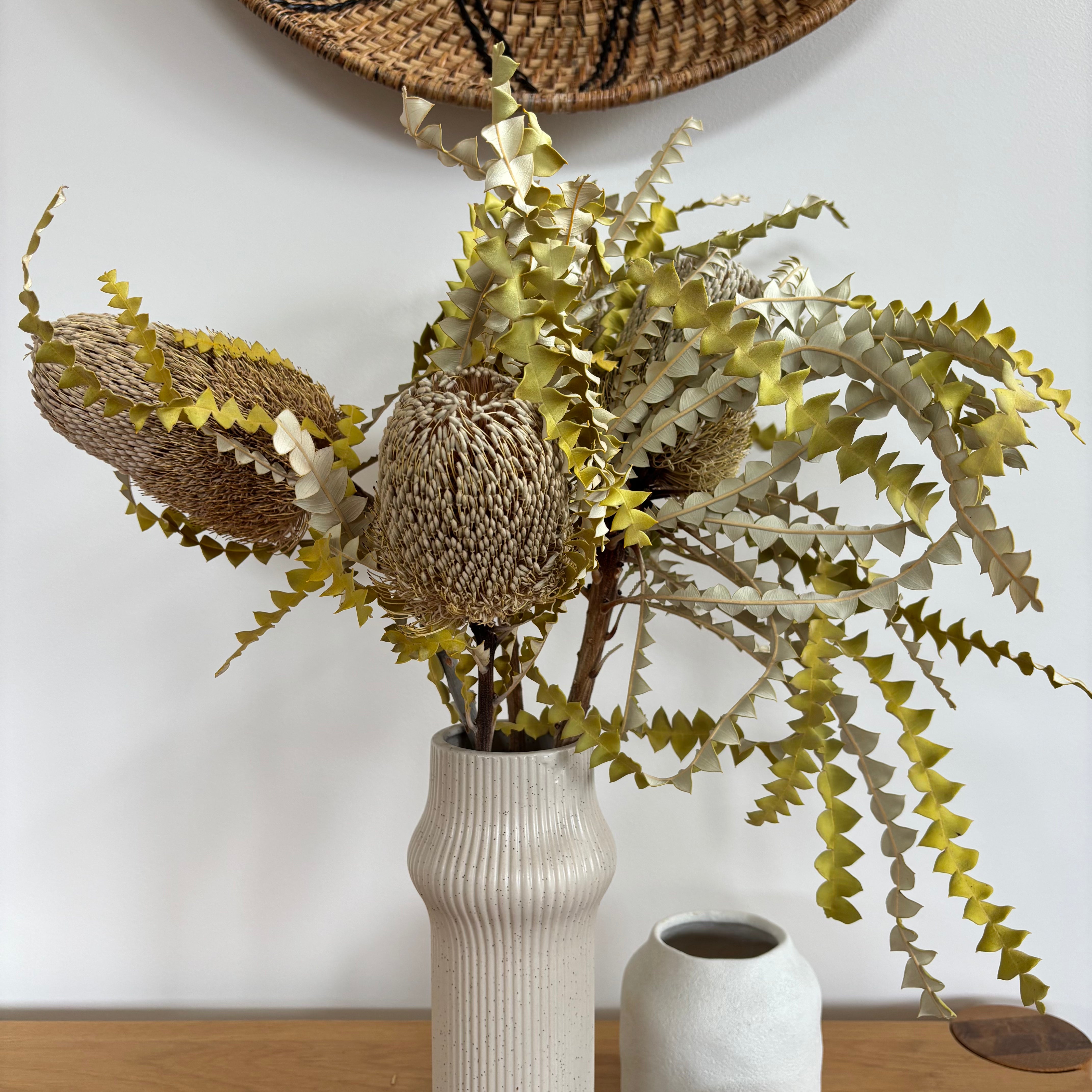 Australian Native Natural Dried Banksia Speciosa Flower - Natural