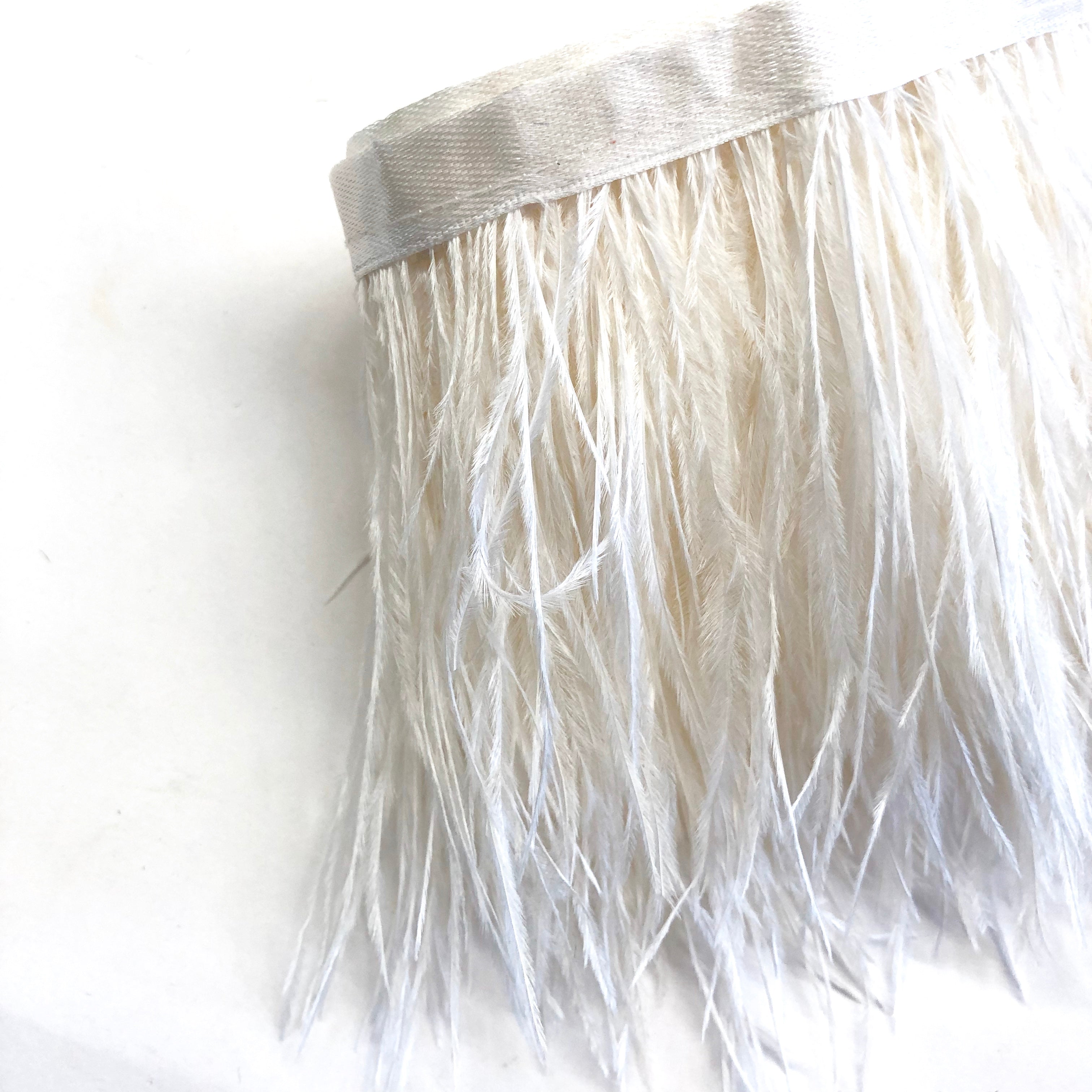 Ostrich Feathers Strung per 10cm - Ivory