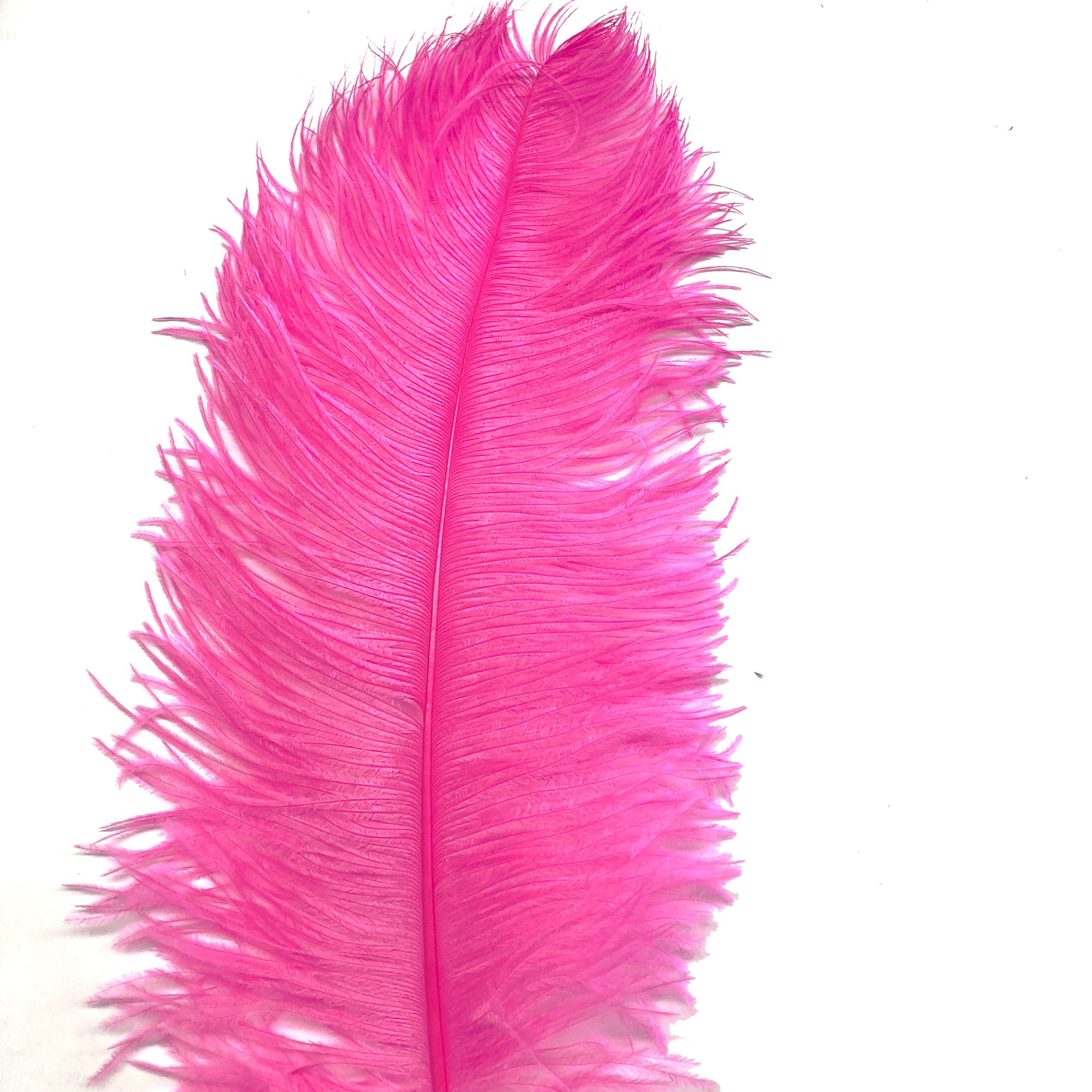 Ostrich Wing Feather Plumes 30-35cm (12-14") - Hot Pink ((SECONDS))