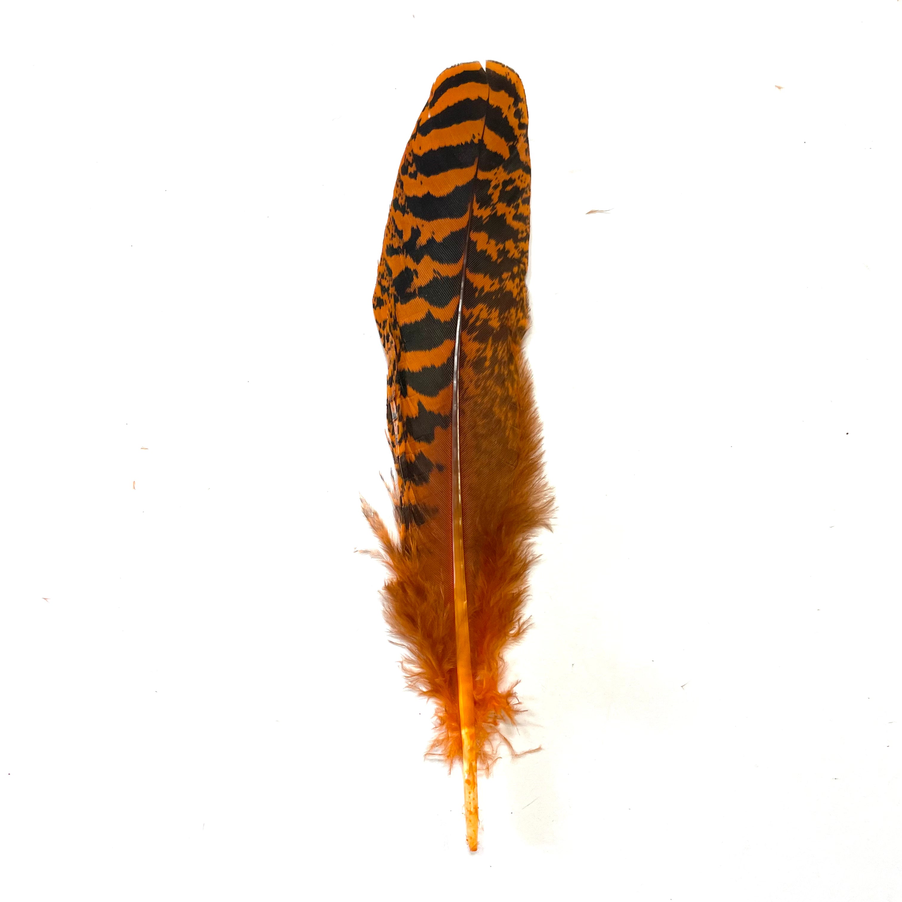 Peacock Mottled Wing Featherx 5pcs - Orange