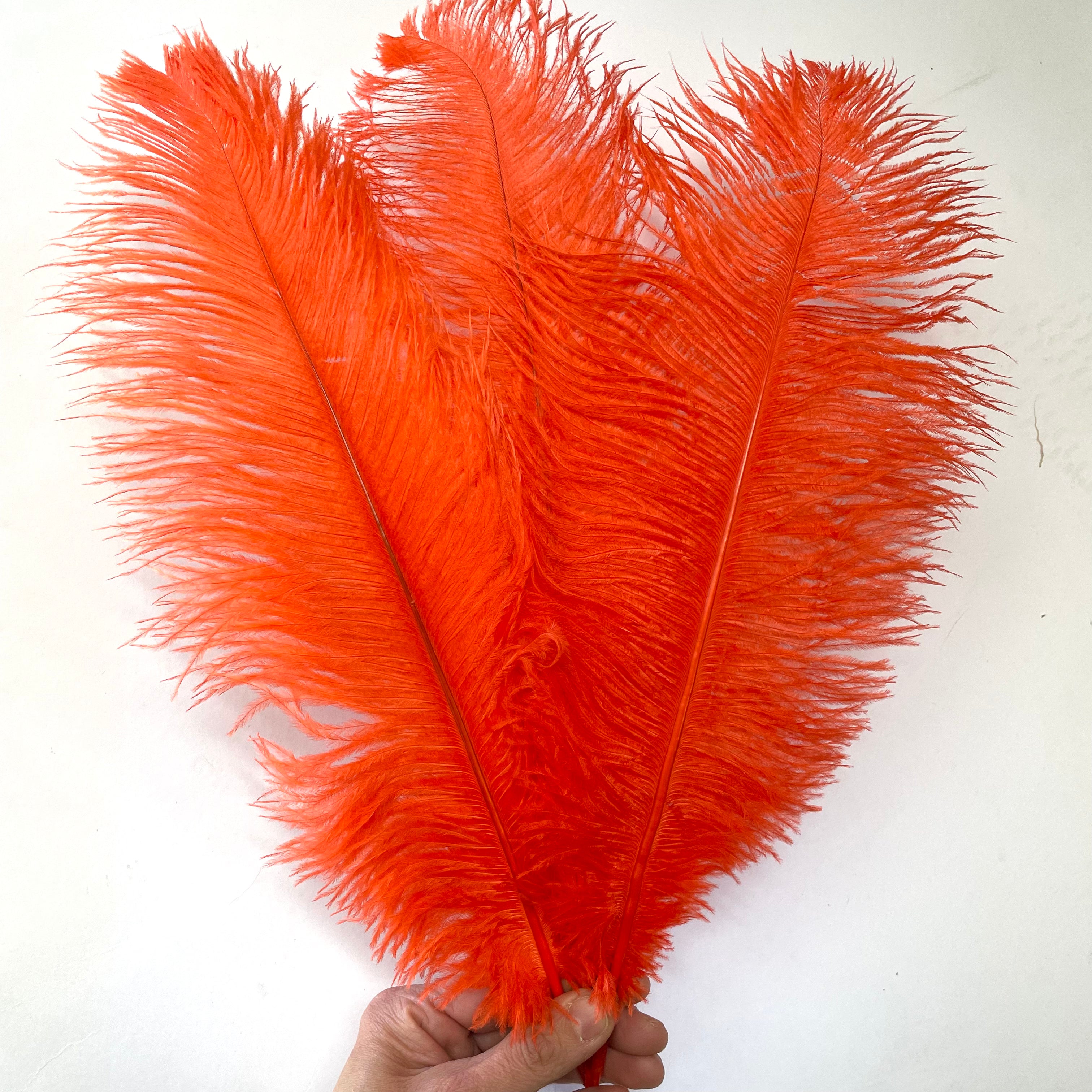 Ostrich Drab Feather 27-32cm - Burnt Orange *Seconds* Pack of 5