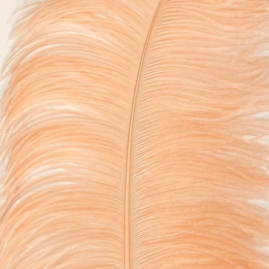 Ostrich Wing Feather Plumes 50-55cm (20-22") - Apricot ((SECONDS))