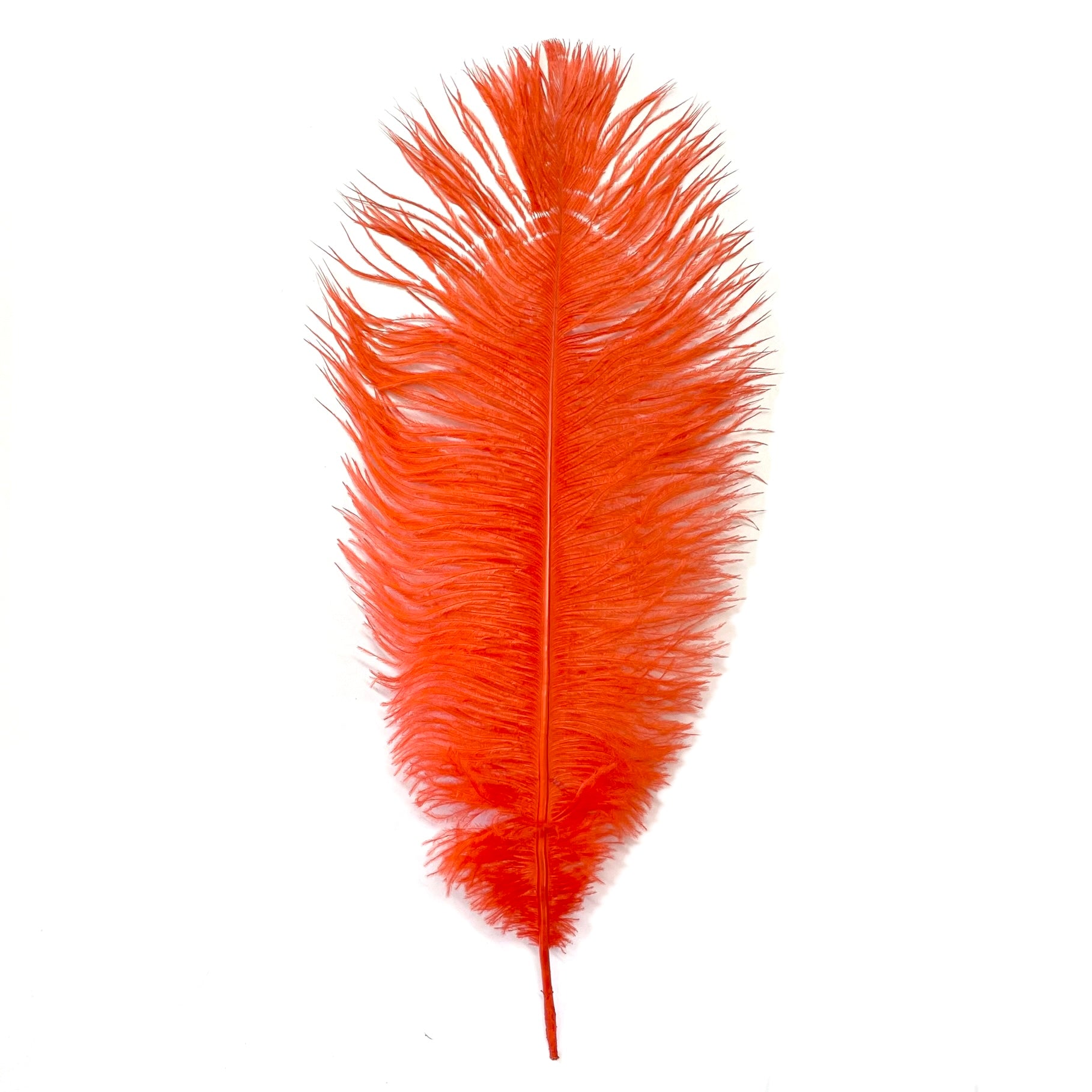 Ostrich Drab Feather 27-32cm - Burnt Orange