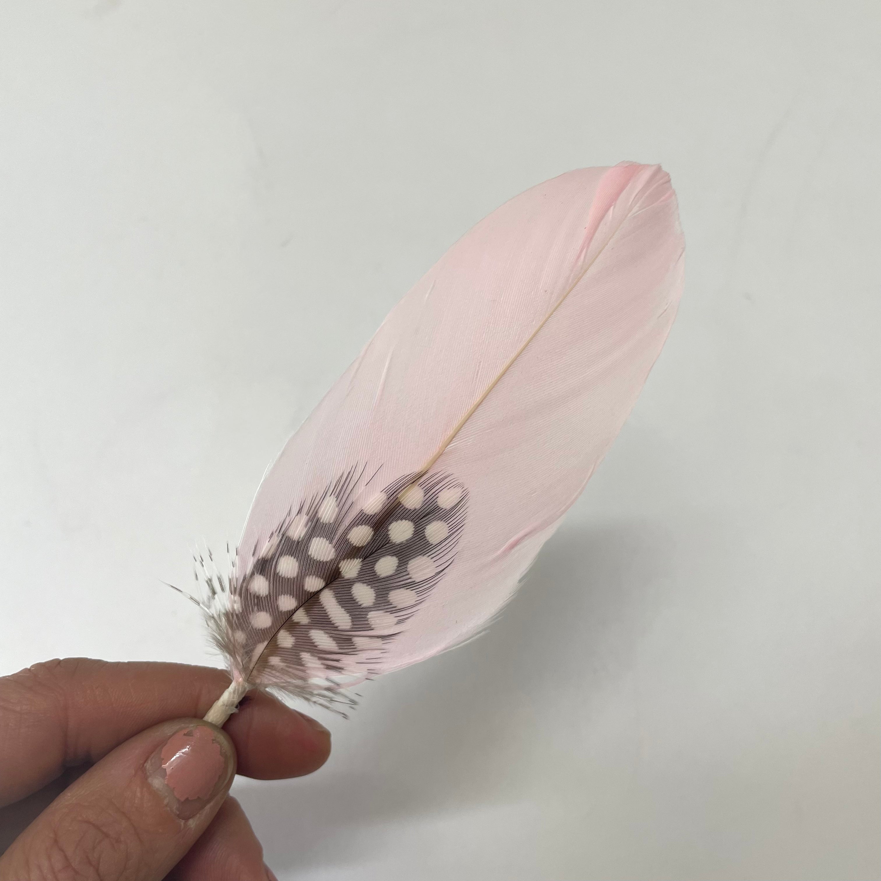 Feather Hat Mount - Style 14