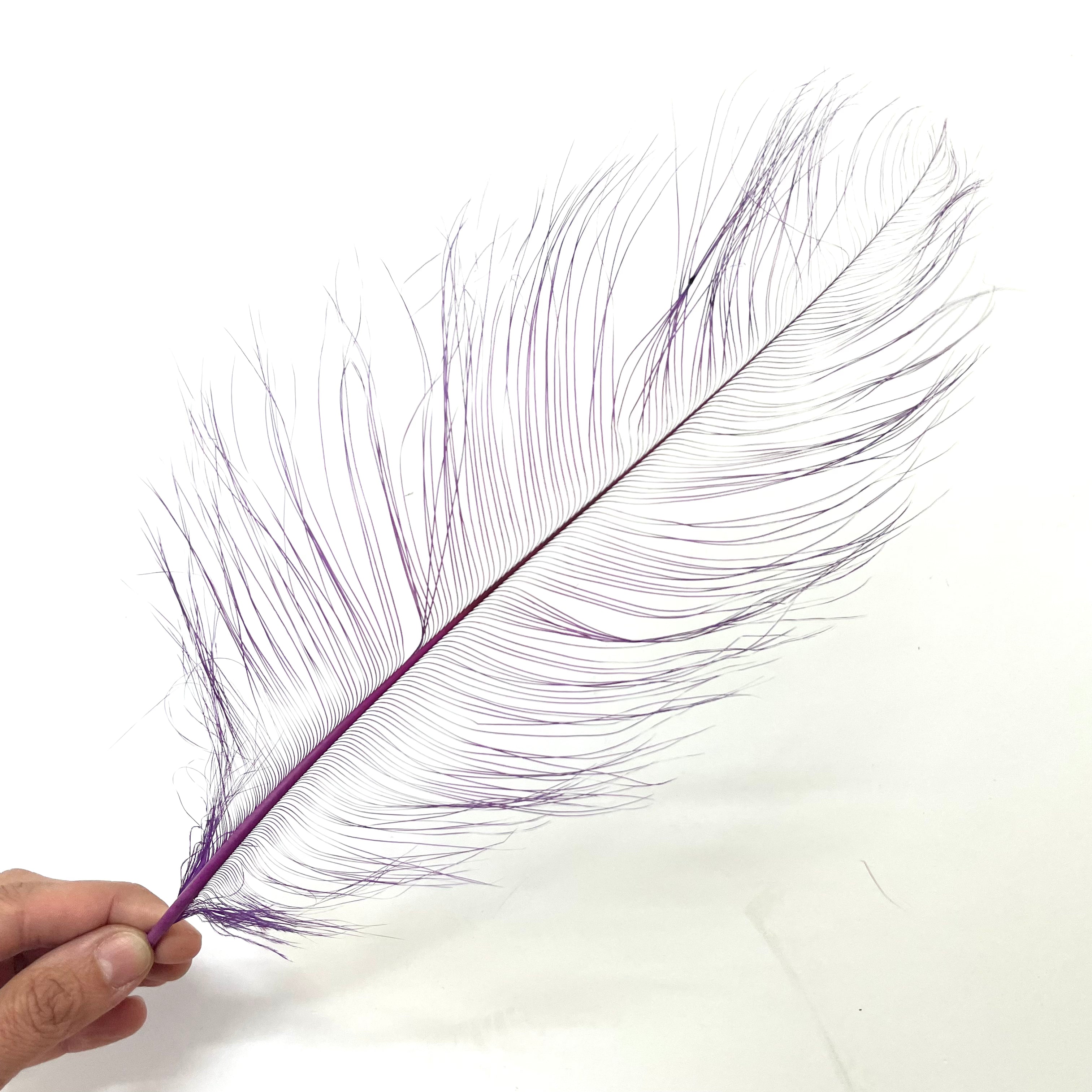 Ostrich Burnt Acid Dipped Cobweb Feather x 5 pcs - Purple