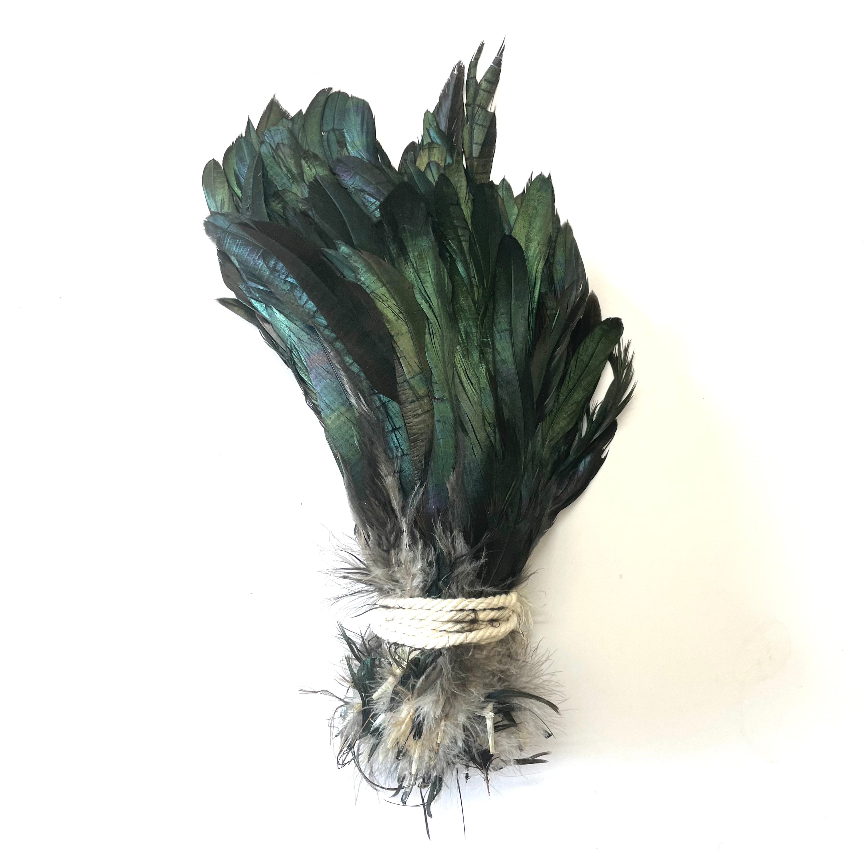 Coque Tail Feathers 8-10" 240mm - 10 grams - Natural Black