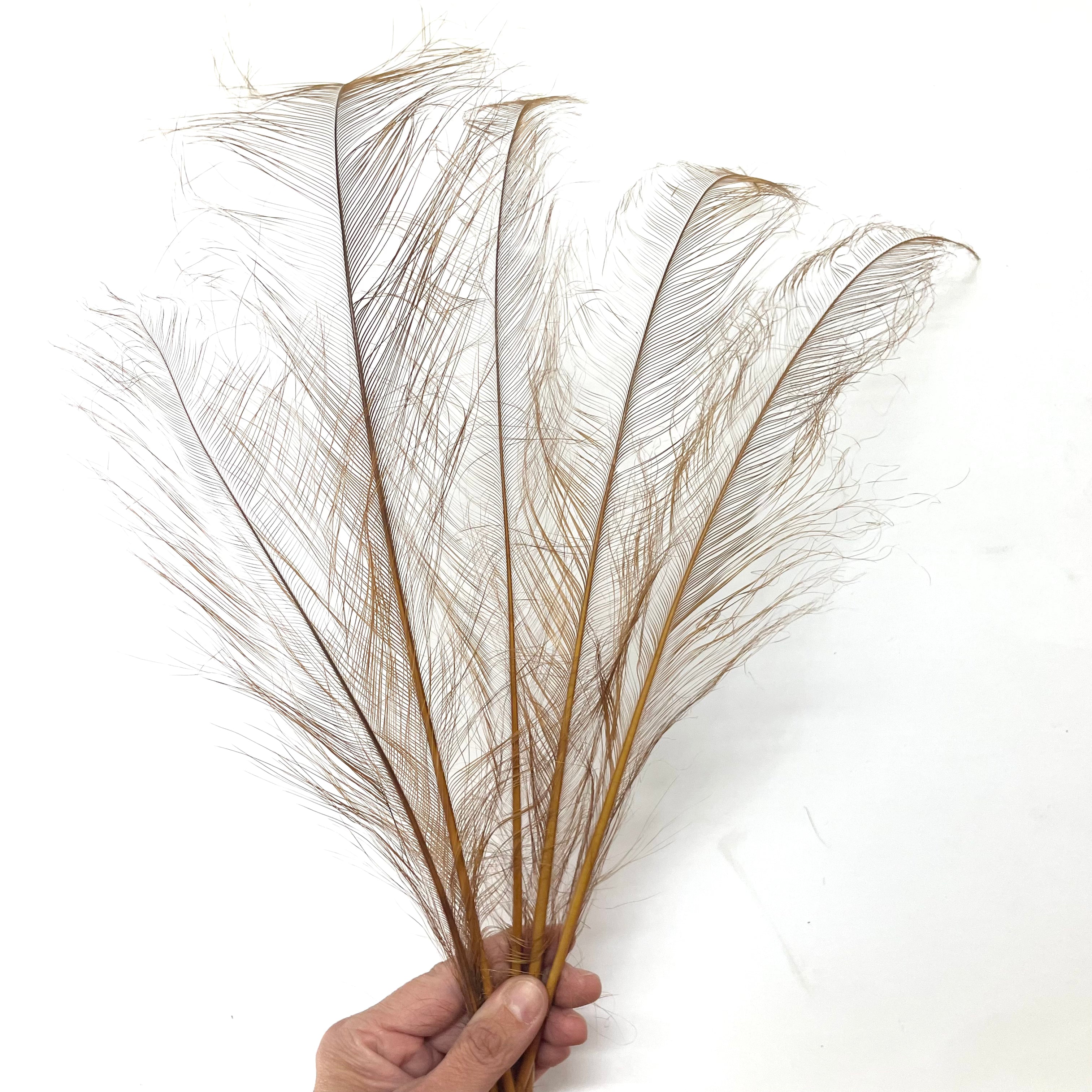 Ostrich Burnt Acid Dipped Cobweb Feather x 5 pcs - Tan Brown Long ((SECONDS))