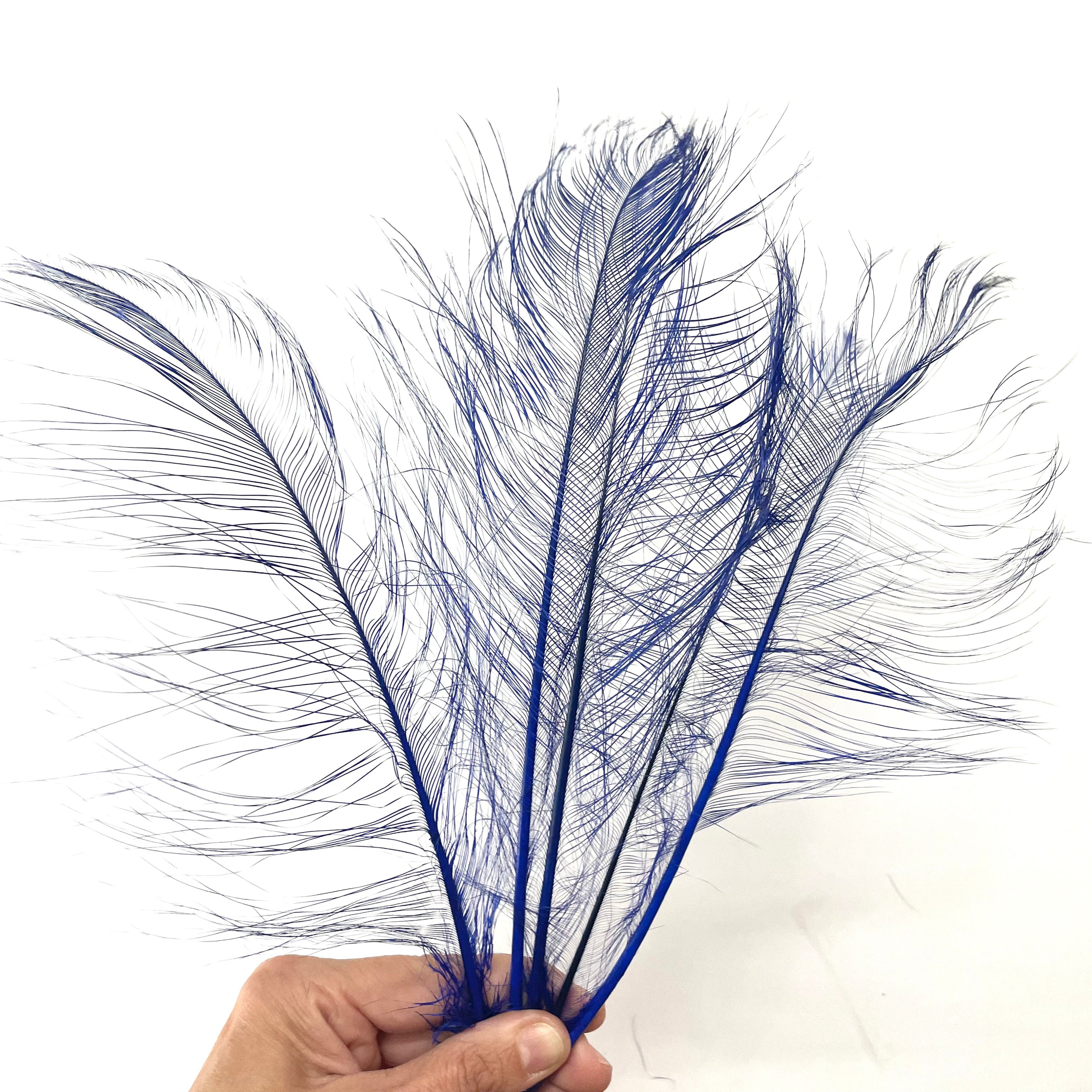 Ostrich Burnt Acid Dipped Cobweb Feather x 5 pcs - Royal Blue