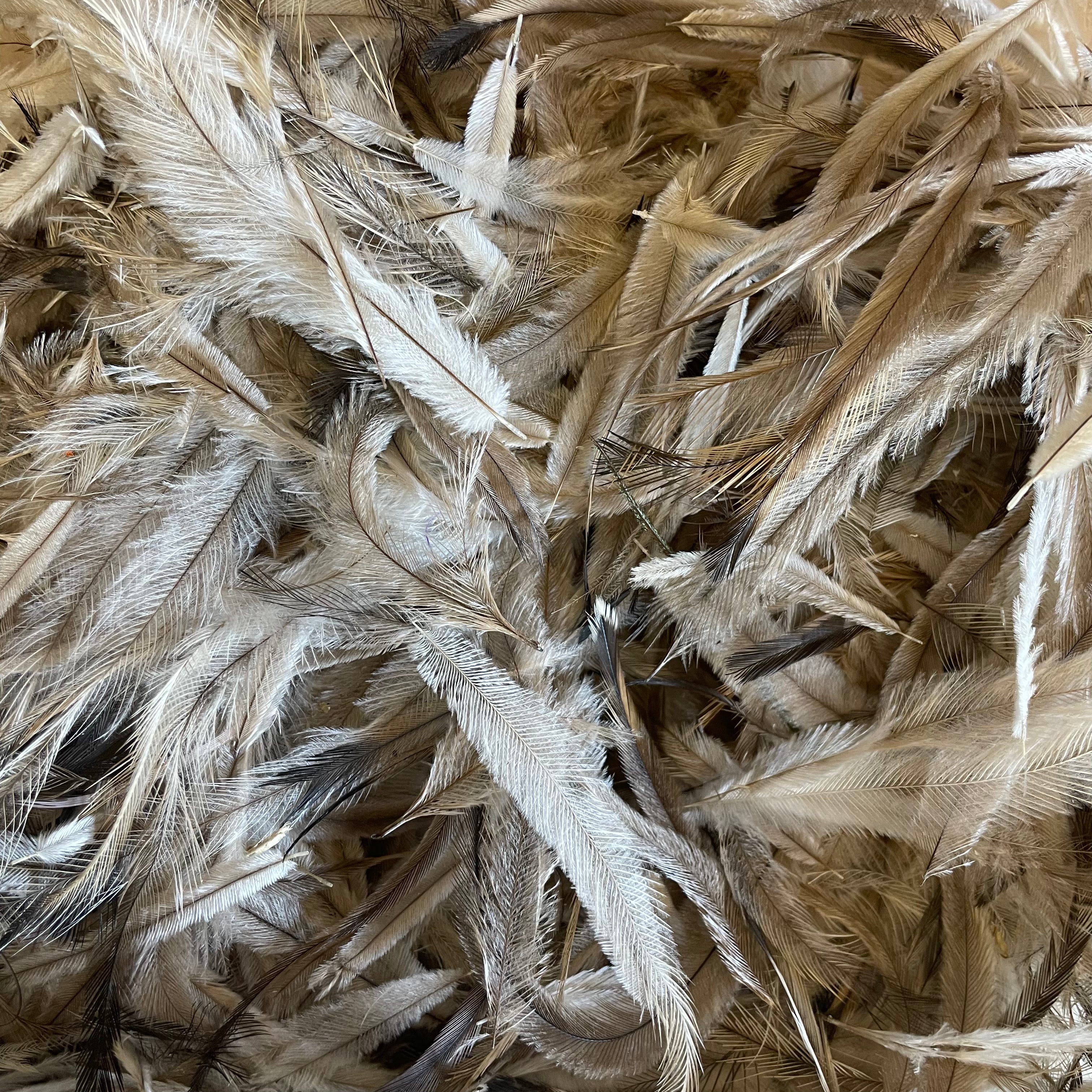 Emu Feathers 50 grams - Natural ((BULK PACK))
