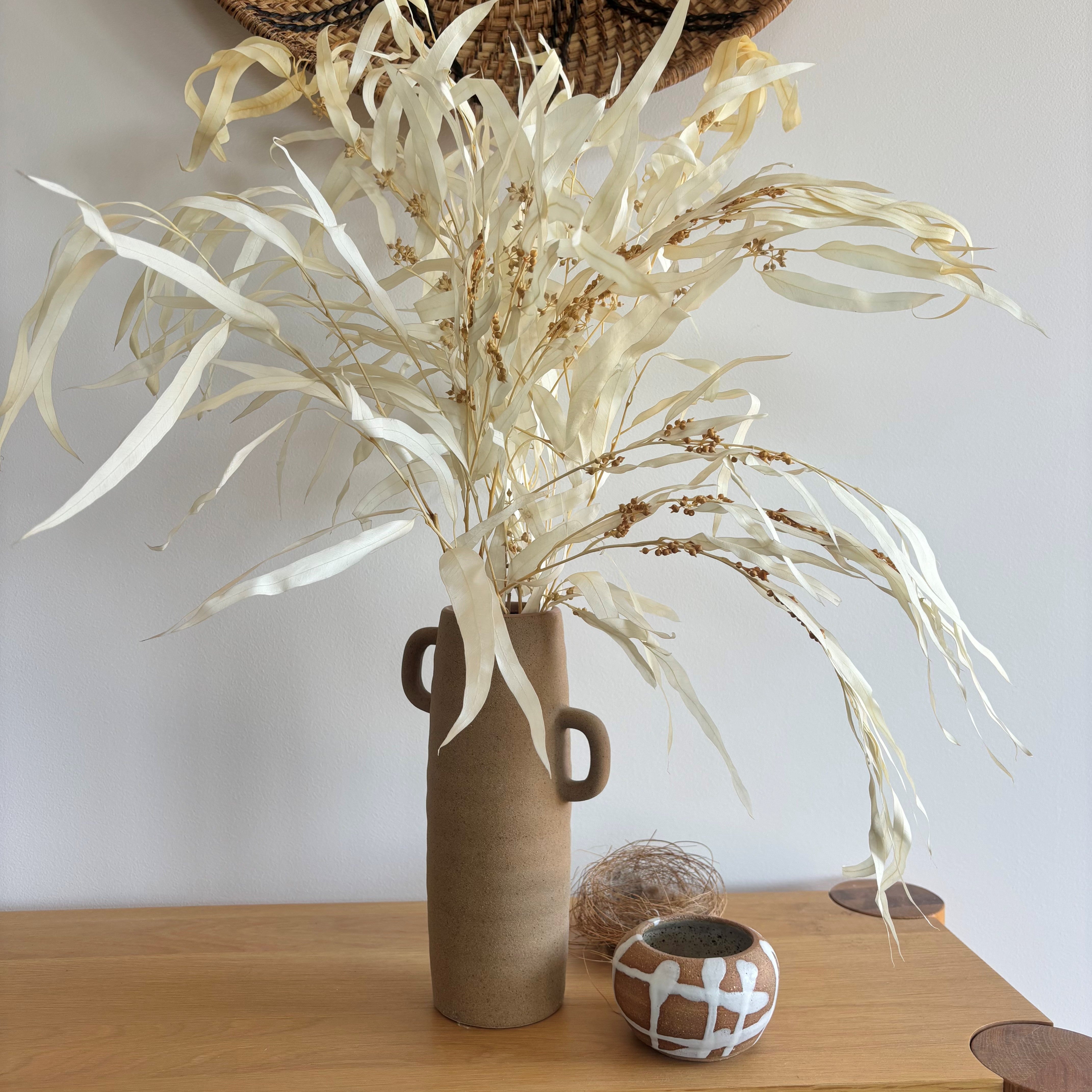 Australian Native Preserved Eucalyptus Long Leaf Seeding Gum - Cream