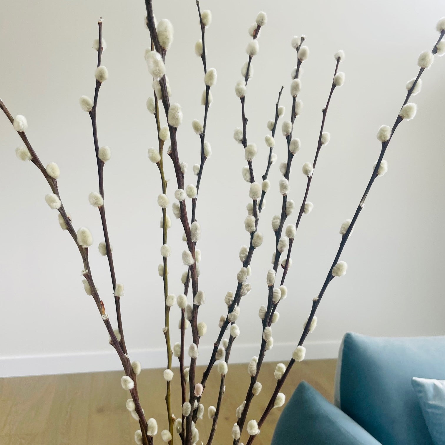 Dried Willow Blossom Twig Sticks Bunch - Natural