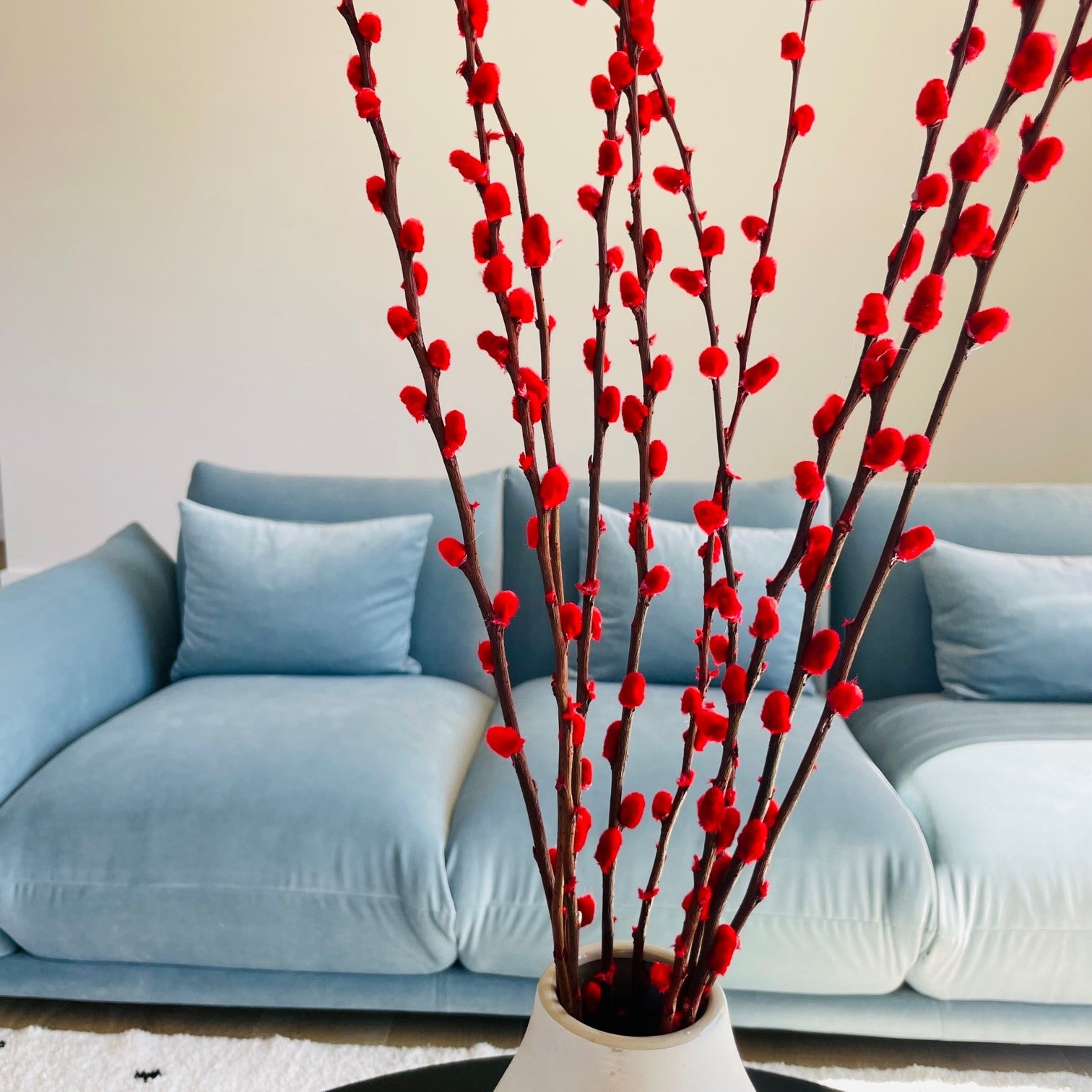 Dried Willow Blossom Twig Sticks Bunch - Red