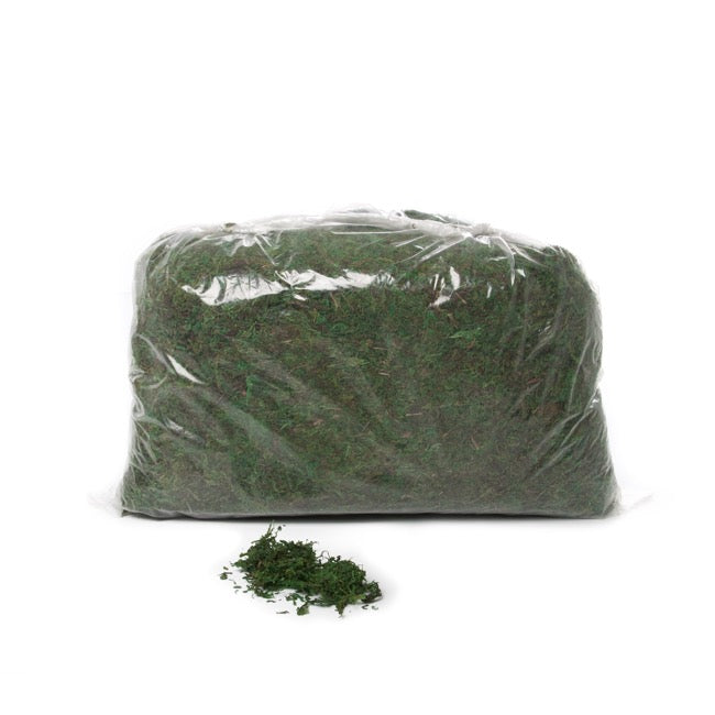 Natural Preserved Moss 500 grams - Green
