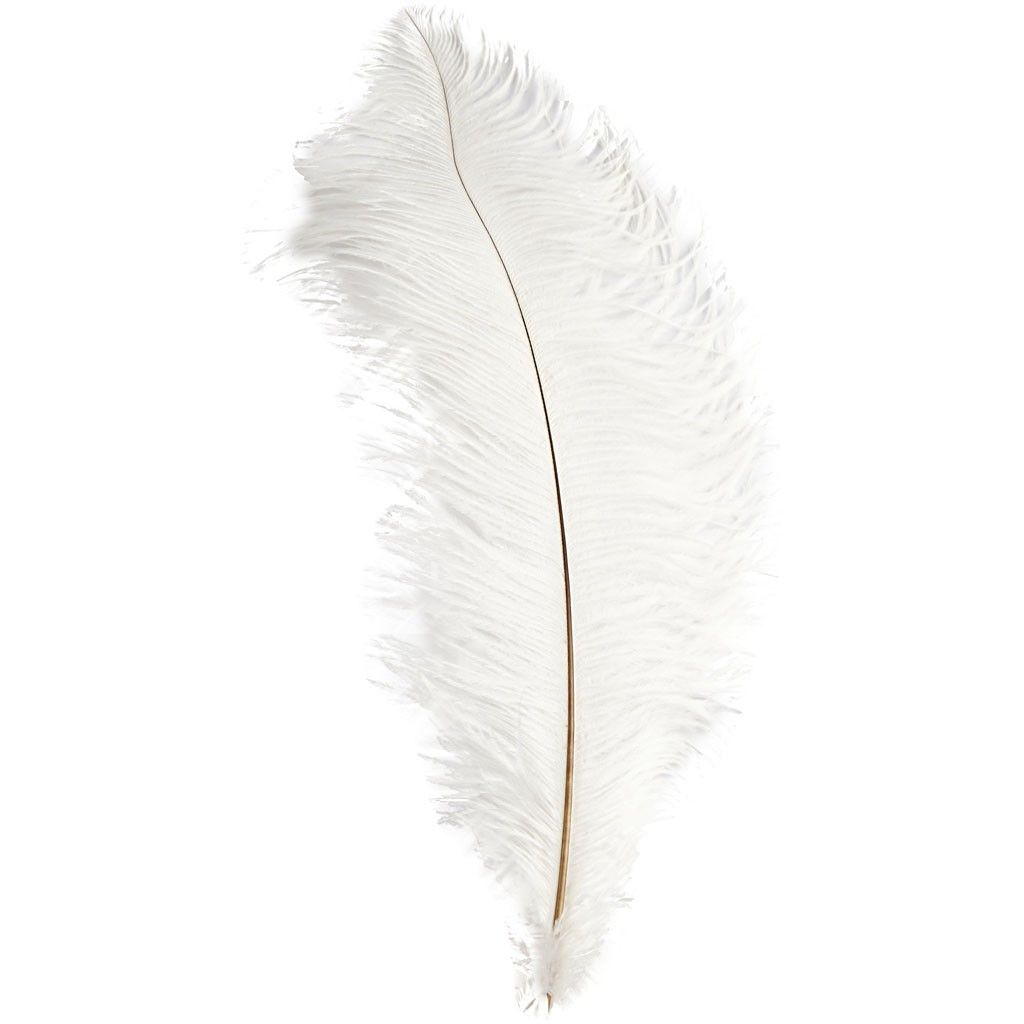 Ostrich Wing Feather Plumes 60-65cm (24-26") - White