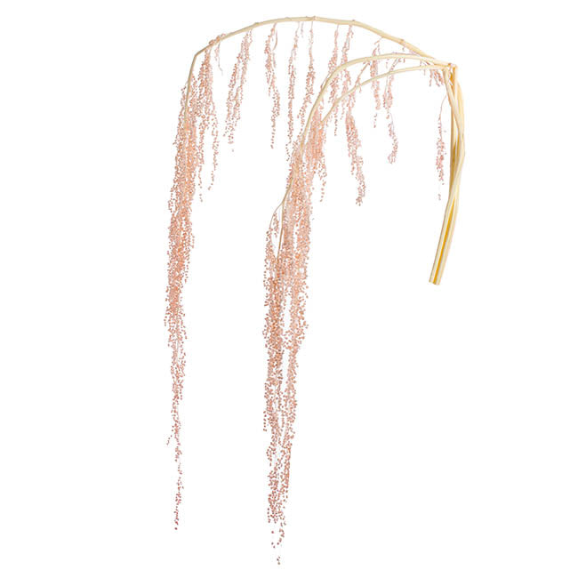 Natural Preserved Dried Amaranthus Flower 80-120cm - Light Pink