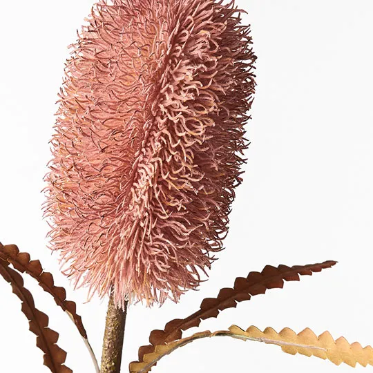 Artificial Australian Native Sawtooth Banksia Serrata Praemorsa Flower Stem - Dusty Pink (Style 6)