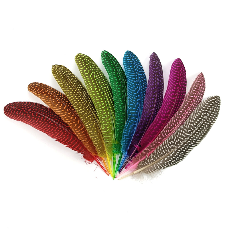 Guinea Fowl Wing Feathers x 10 pcs - Rainbow Assorted