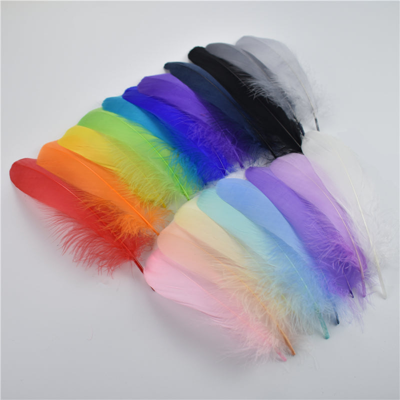 Goose Nagoire Feathers 100 pcs - Rainbow Assorted