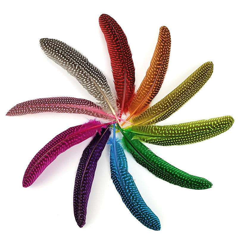 Guinea Fowl Wing Feathers x 10 pcs - Rainbow Assorted