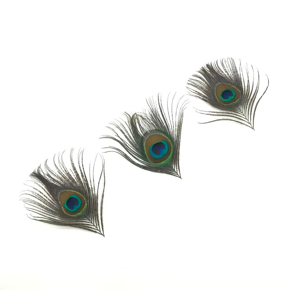 Natural Peacock Eye Tail Feather MINI 10cm x 10 pcs ((SECONDS))