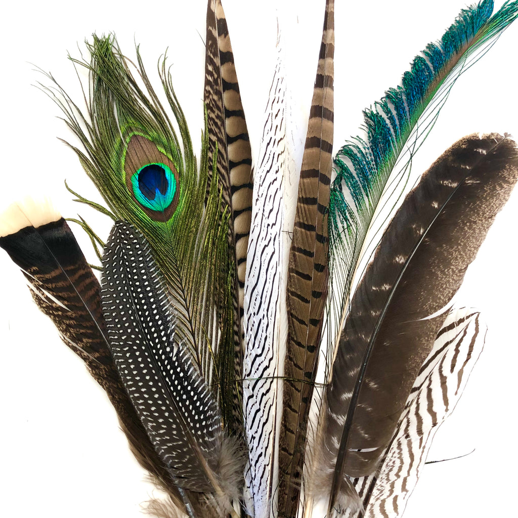 Large Natural Feathers 20-35cm Mixed Pack x 10pcs –