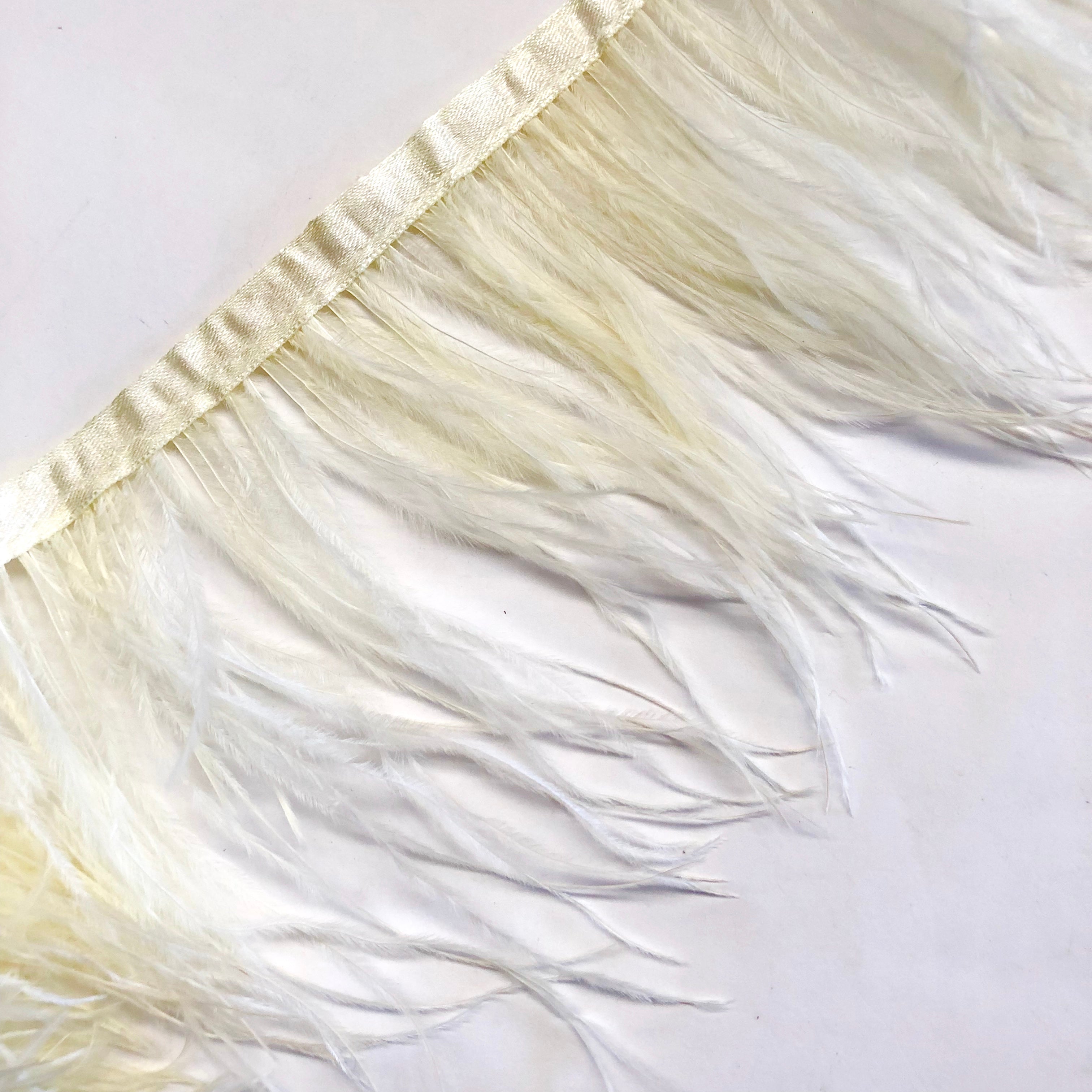 Ostrich Feathers Strung per 10cm - Cream