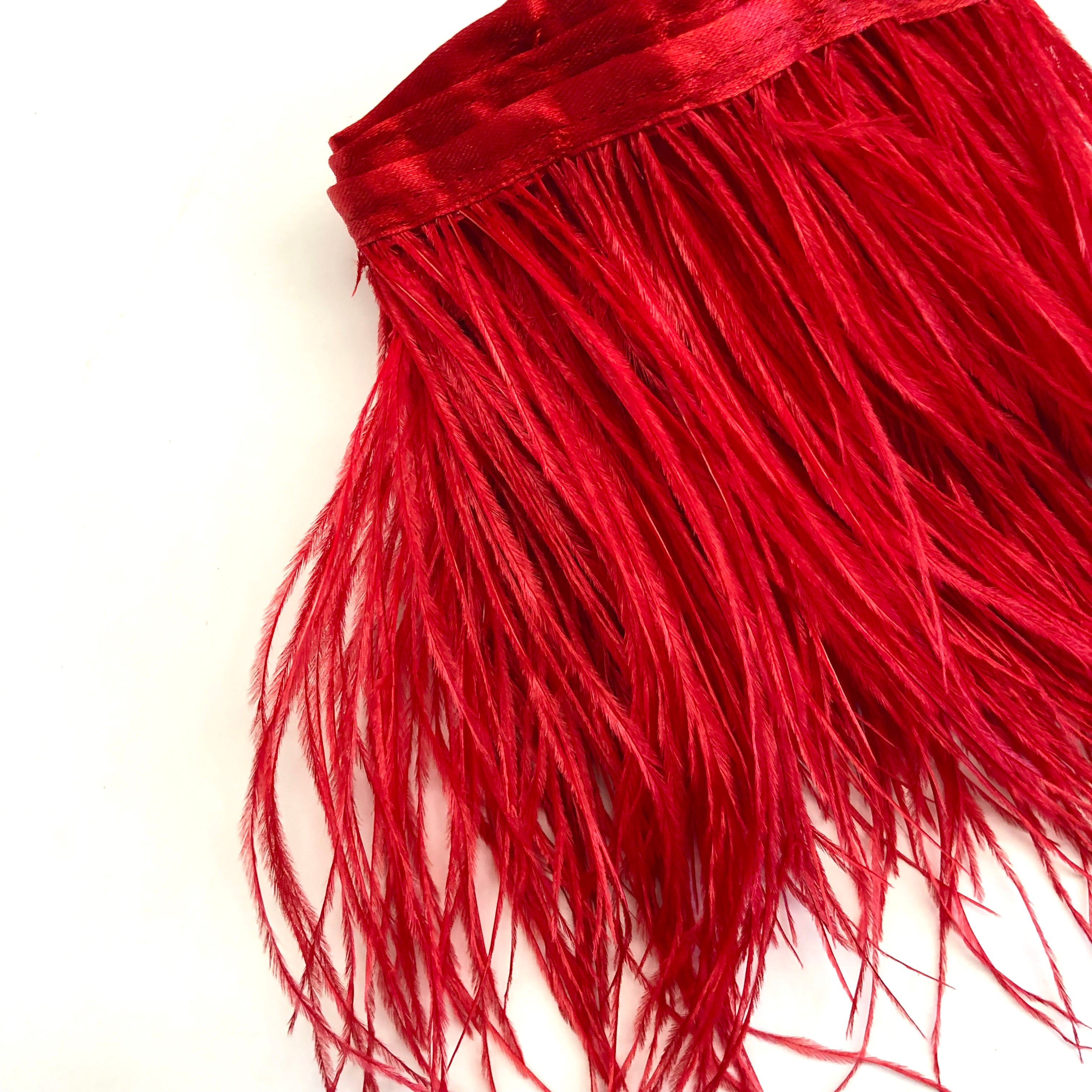 Ostrich Feathers Strung per metre - Red