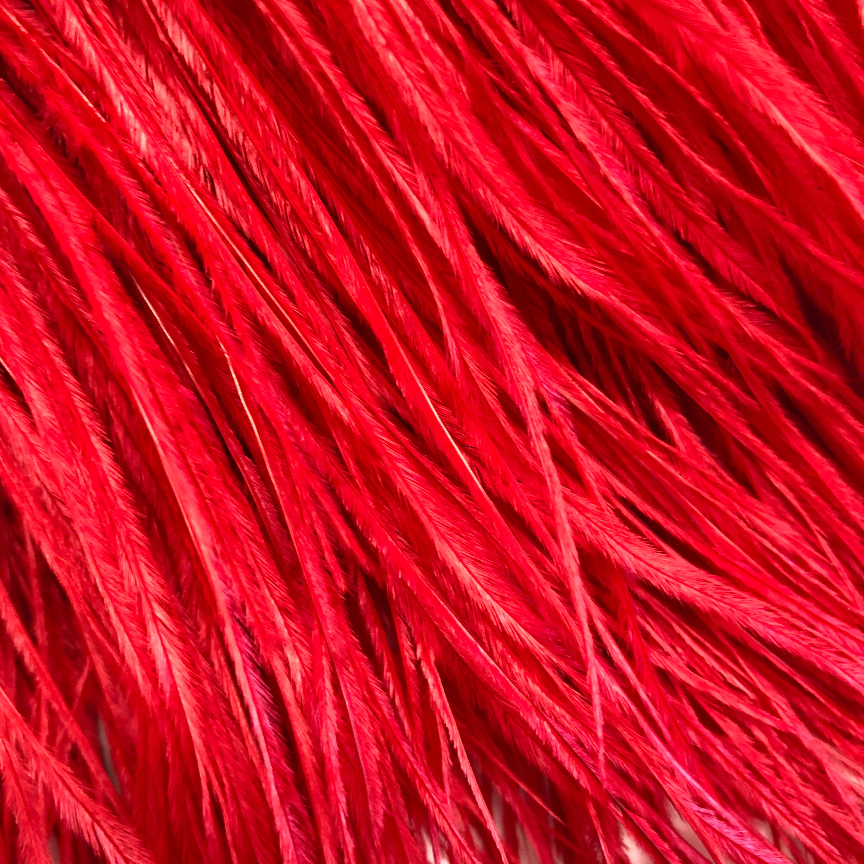 Ostrich Feathers Strung per metre - Red
