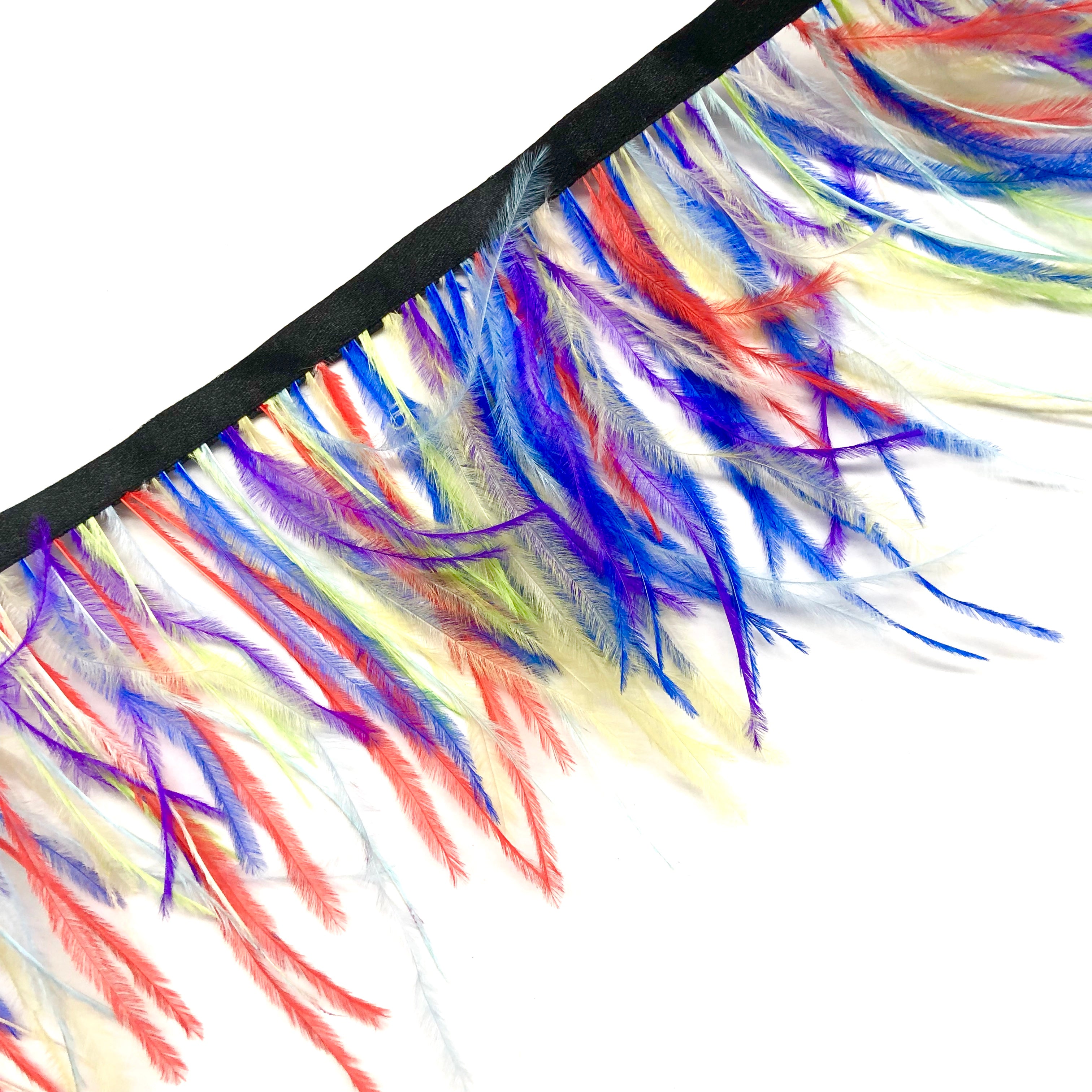 Ostrich Feathers Strung per metre - Rainbow