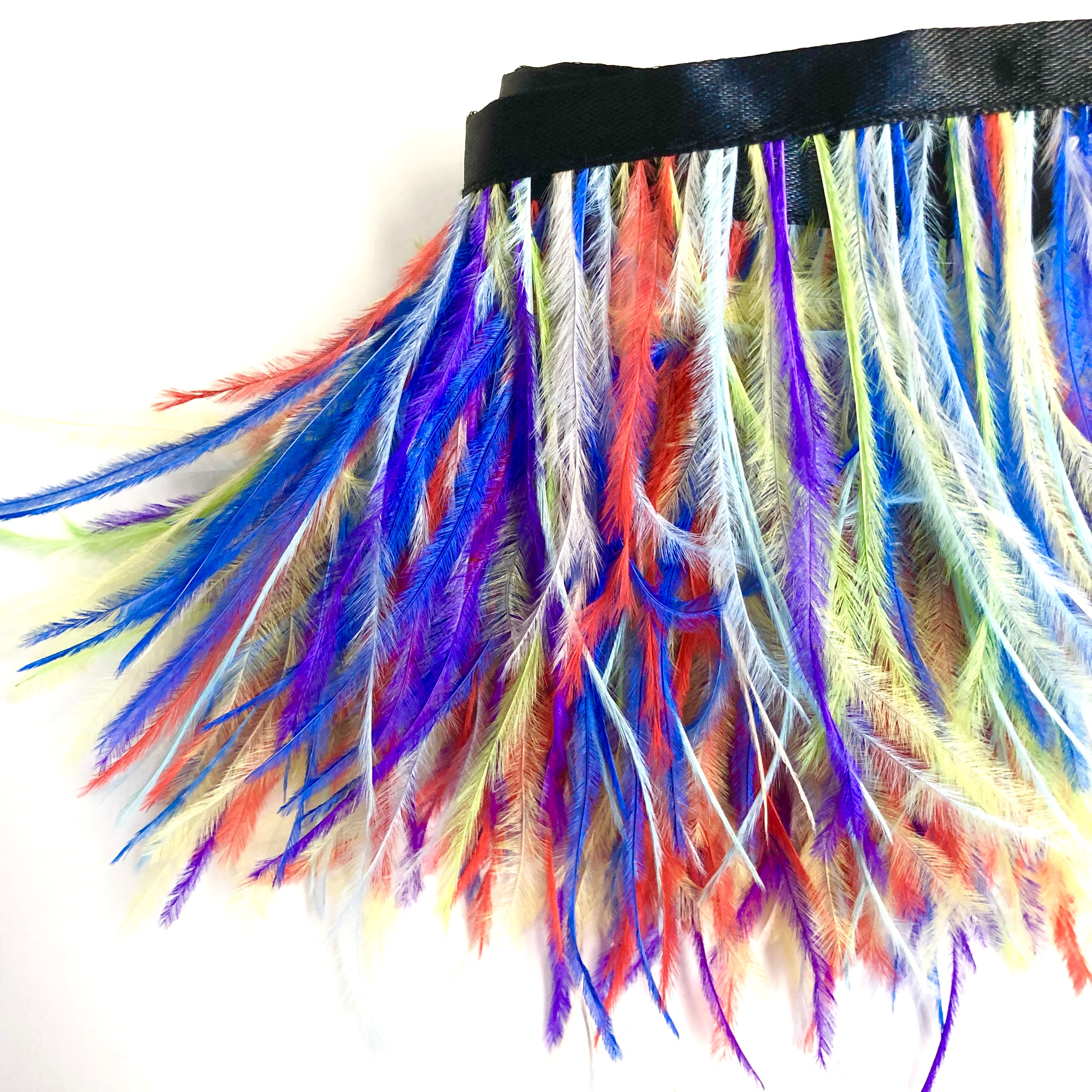 Ostrich Feathers Strung per metre - Rainbow