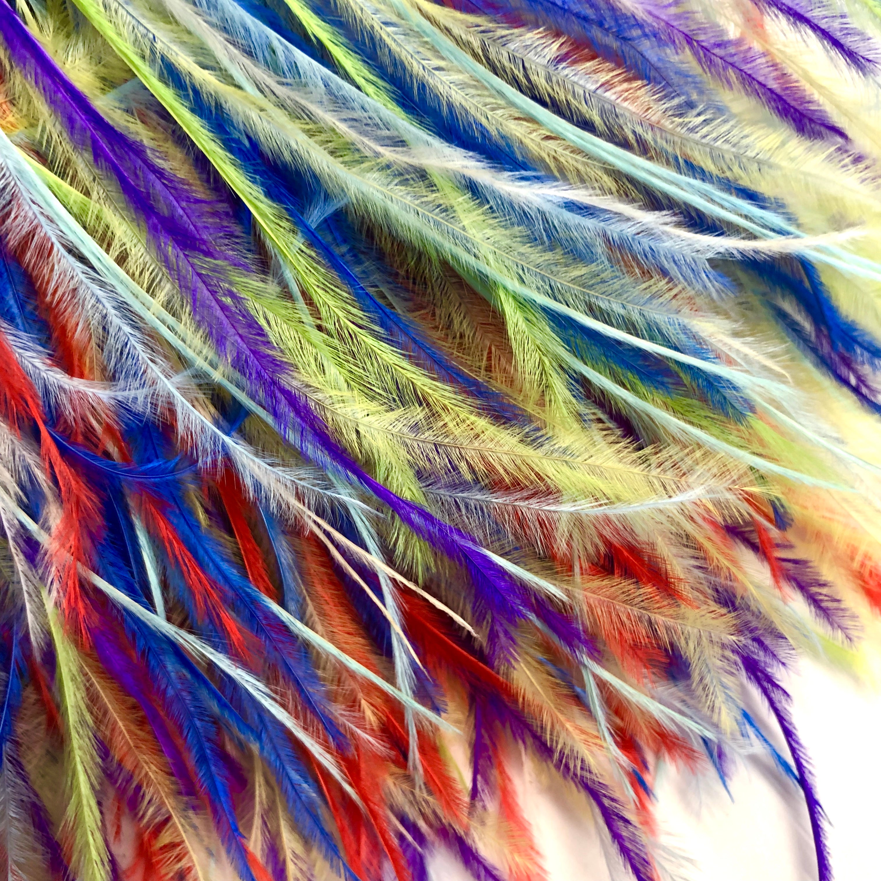 Ostrich Feathers Strung per 10cm - Rainbow