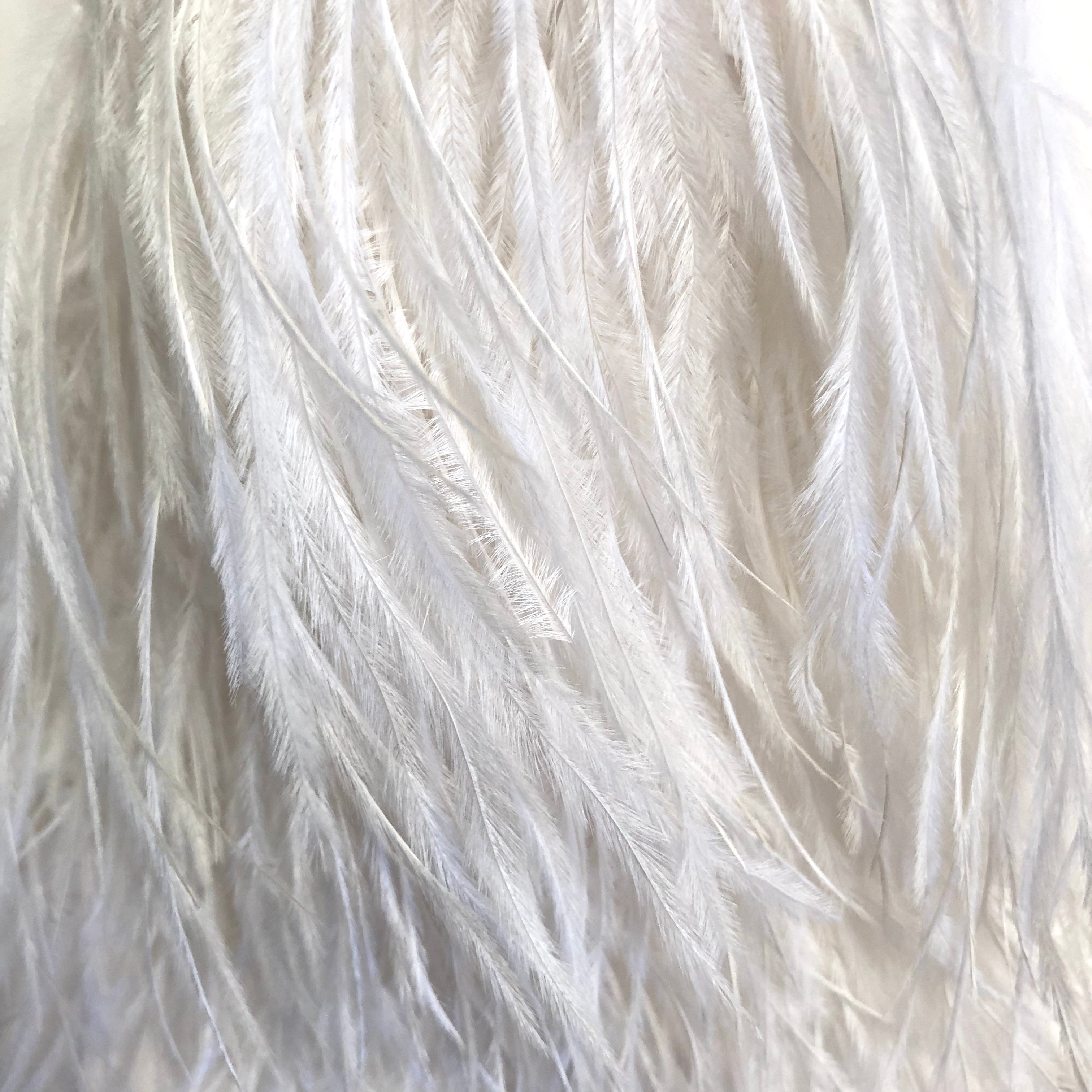 Ostrich Feathers Strung per 10cm - White