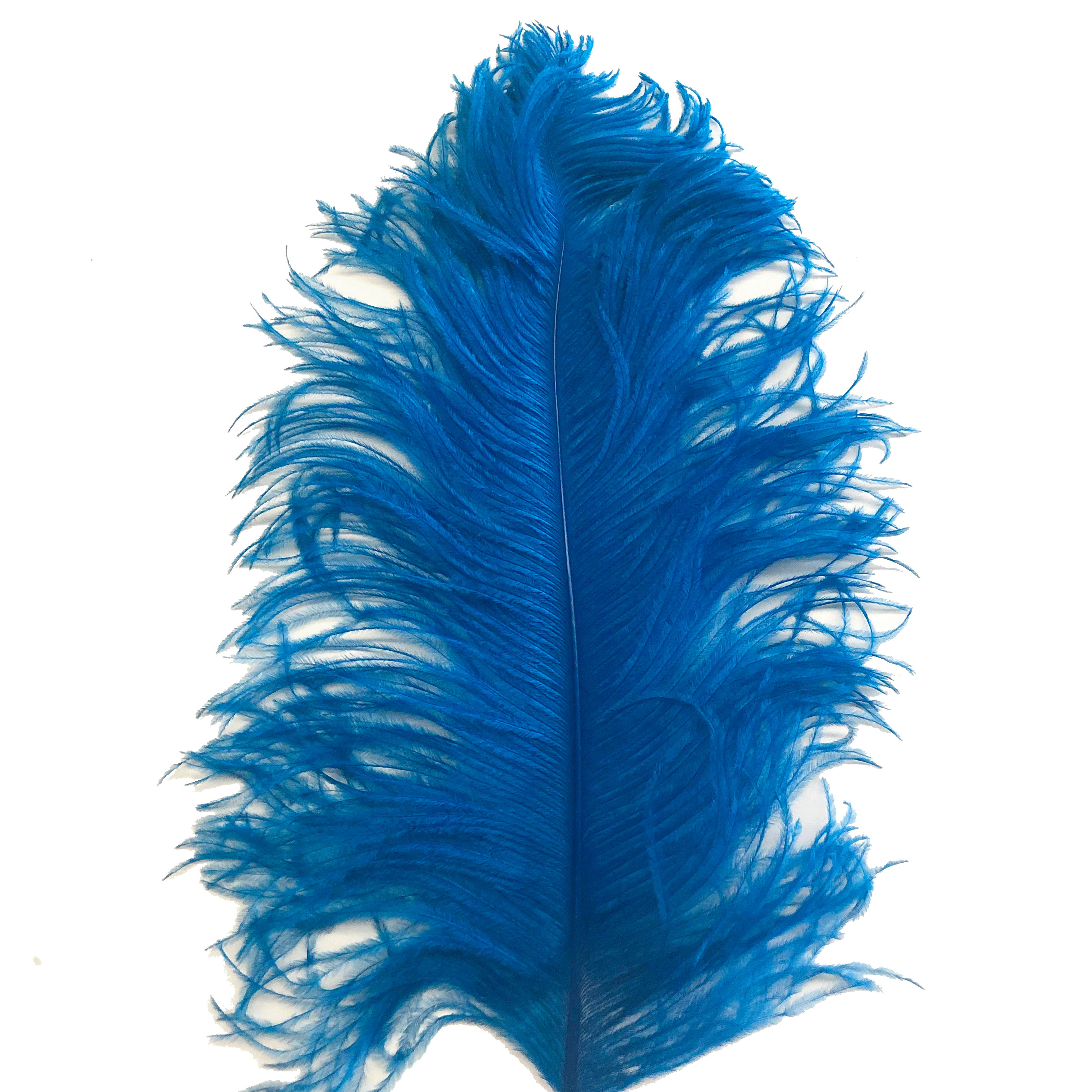 Ostrich Wing Feather Plumes 50-55cm (20-22") - Turquoise